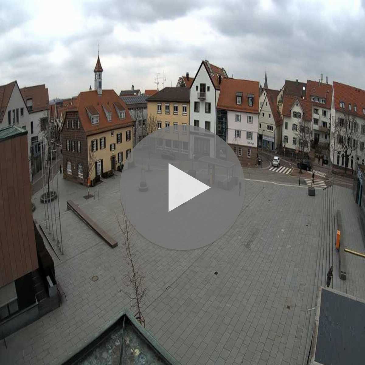 Schallstadt webcam