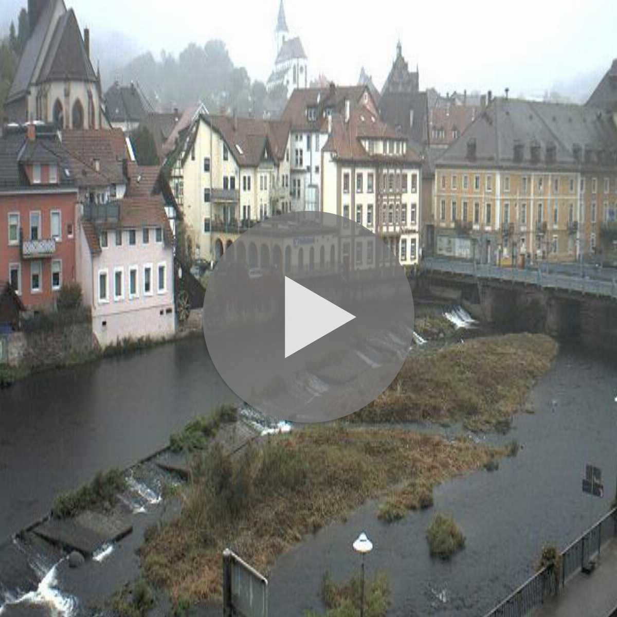 Schallstadt webcam