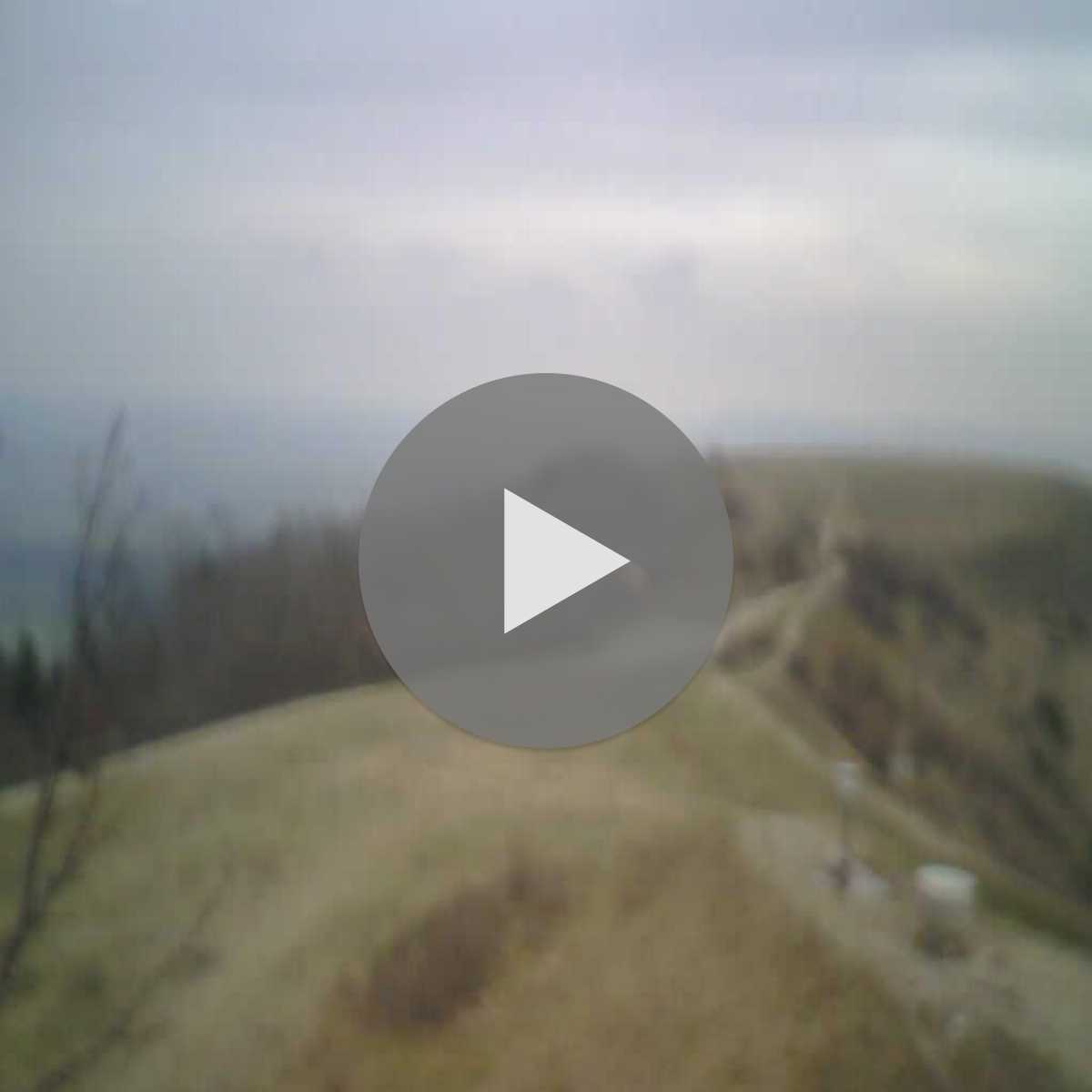 Zachenberg webcam