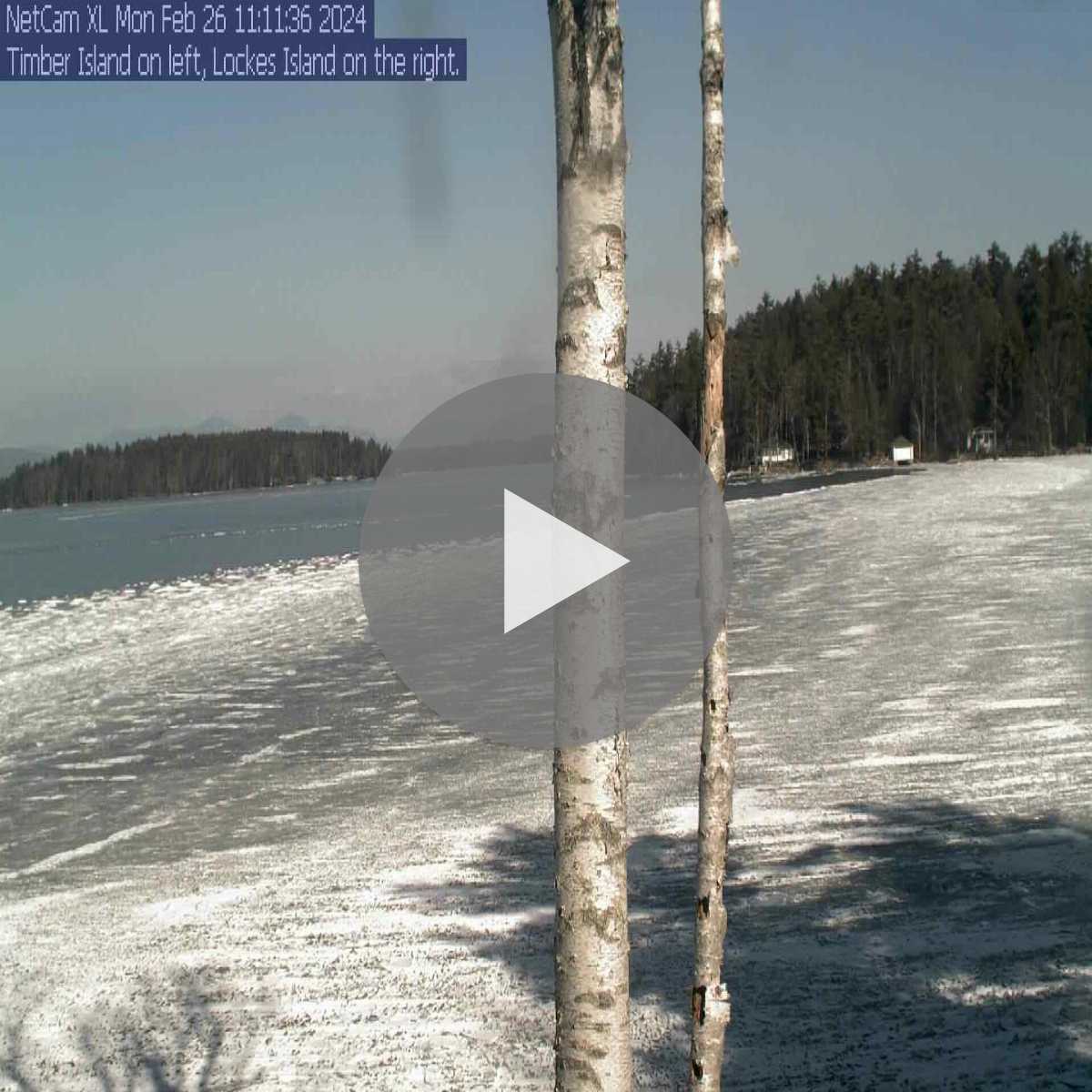 Antrim webcam