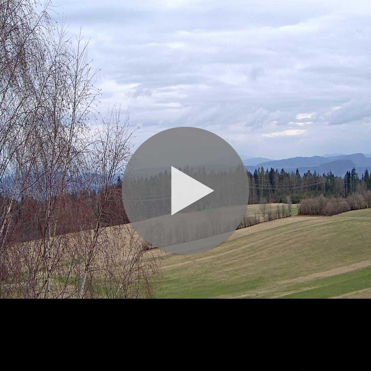 Schallstadt webcam