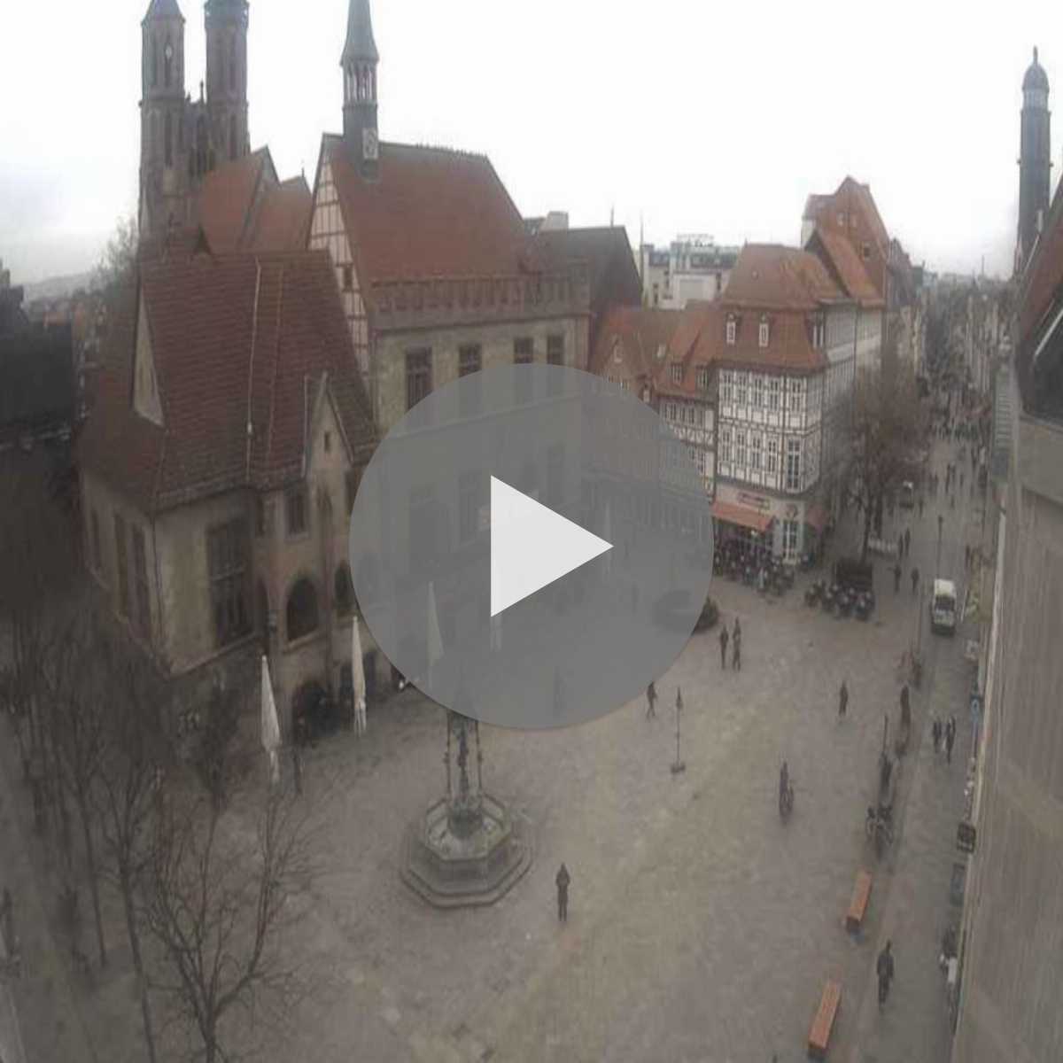 Reppenstedt webcam