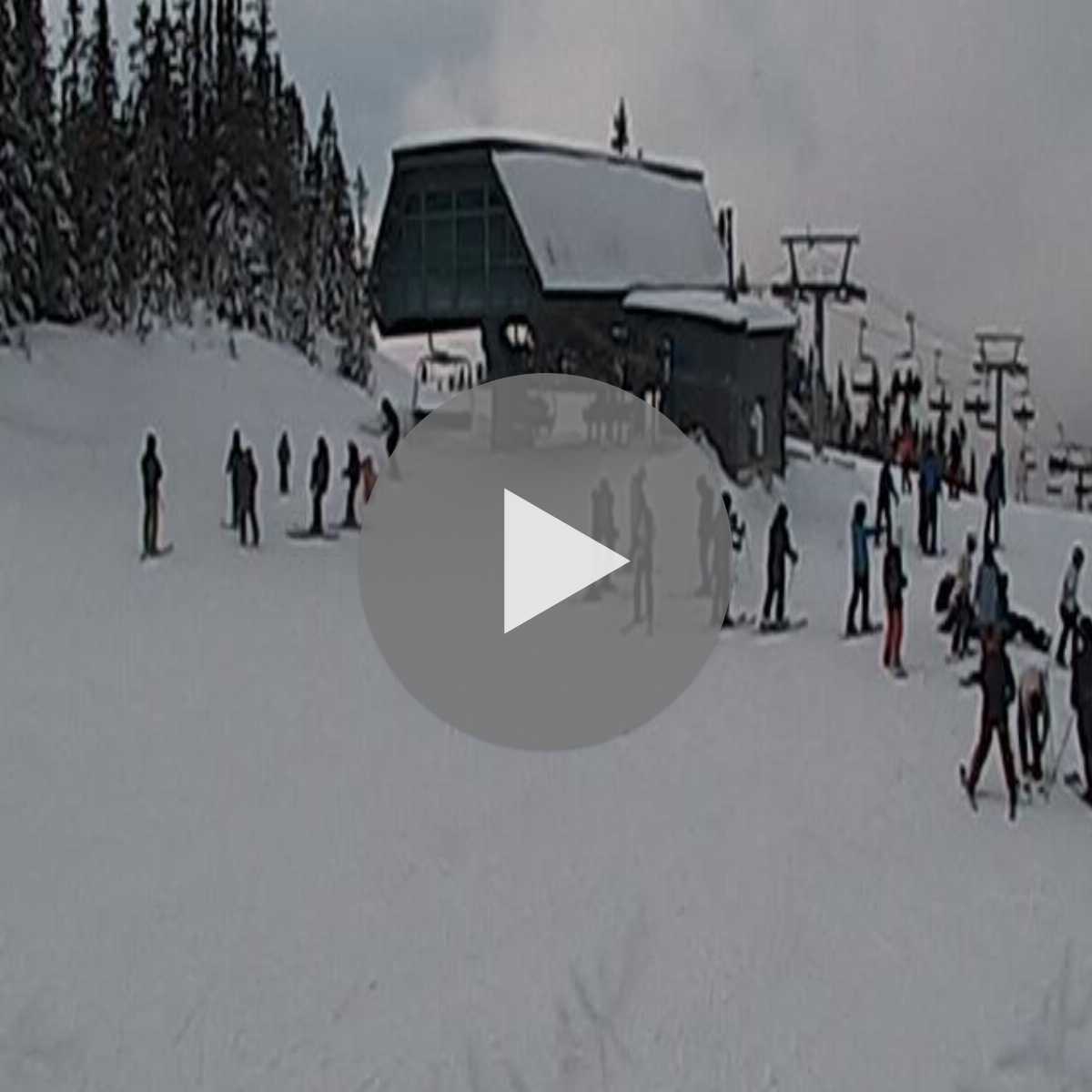 Lora webcam