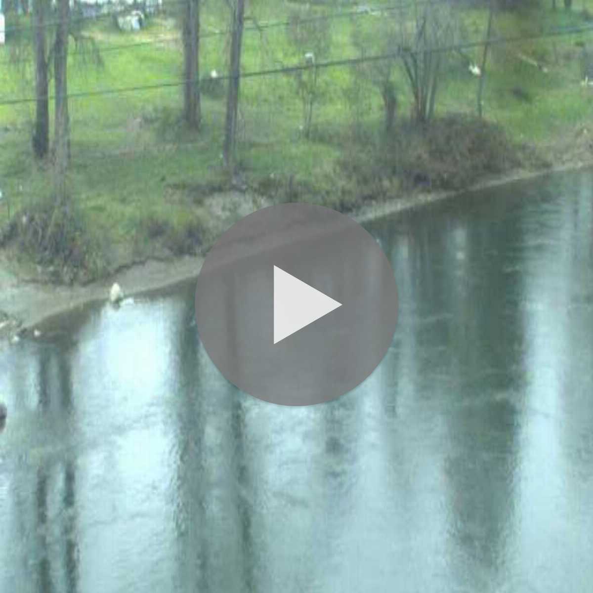 Ontario webcam