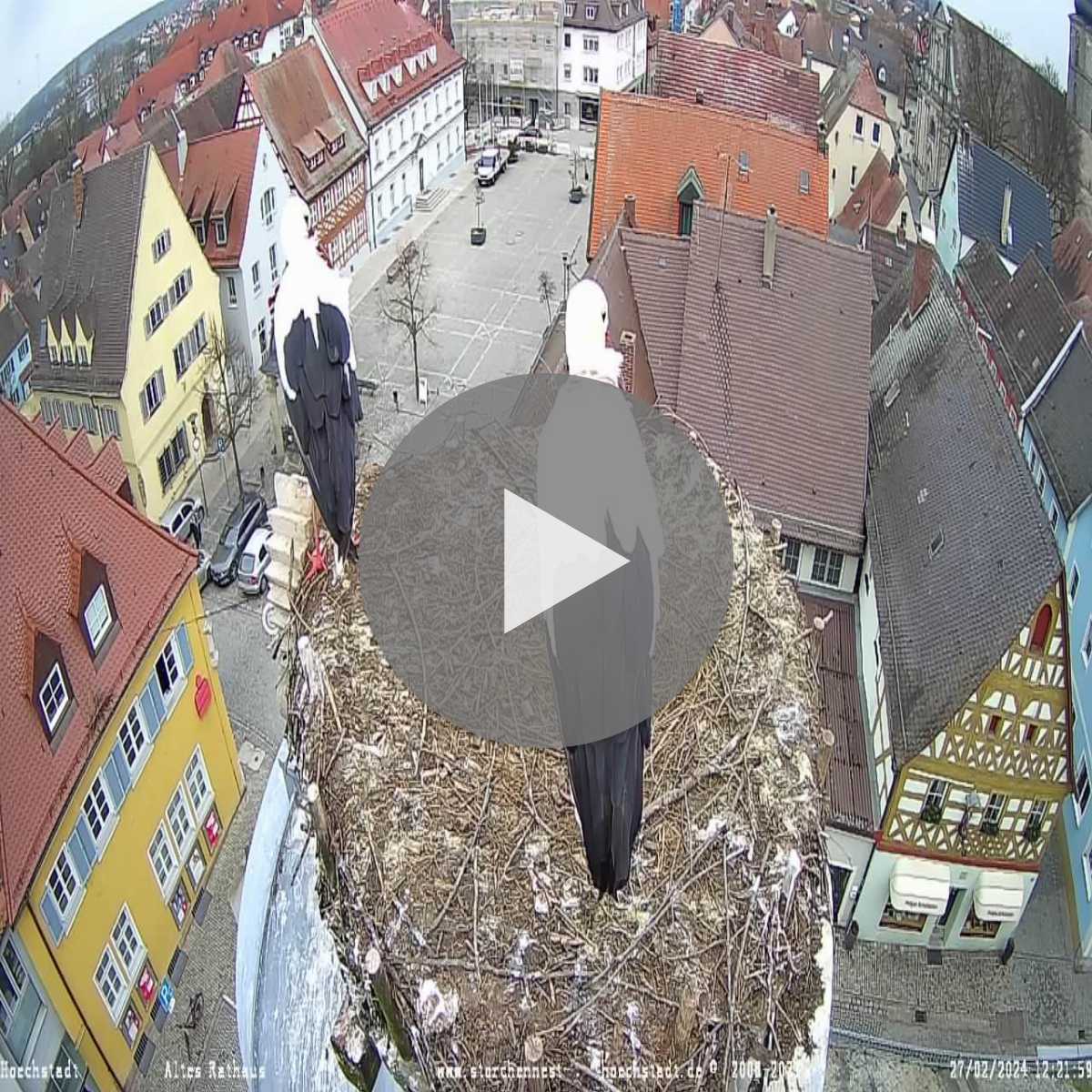 Zachenberg webcam