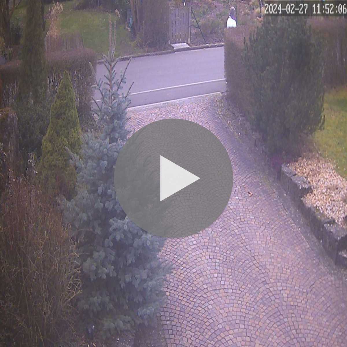 Zachenberg webcam