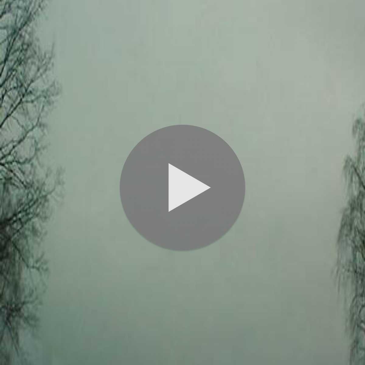 Ammenas webcam