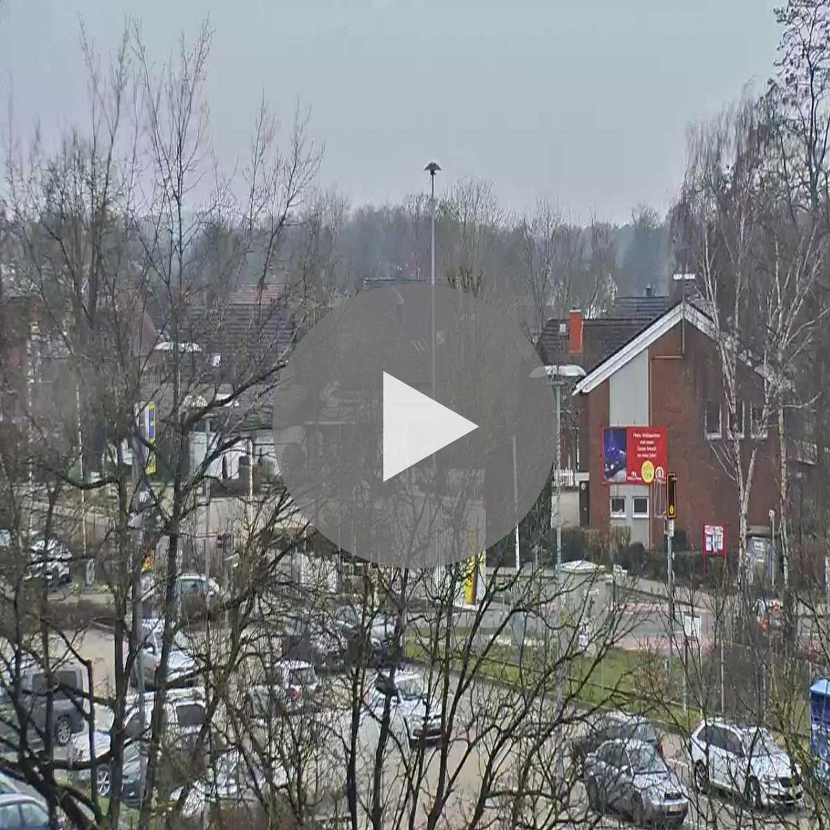 Reppenstedt webcam