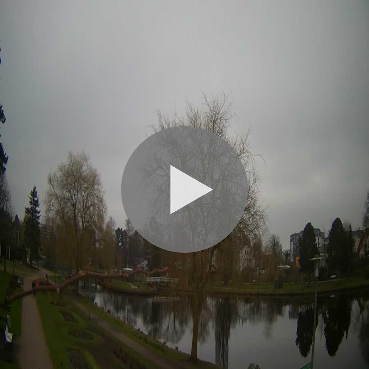 Reinbek webcam