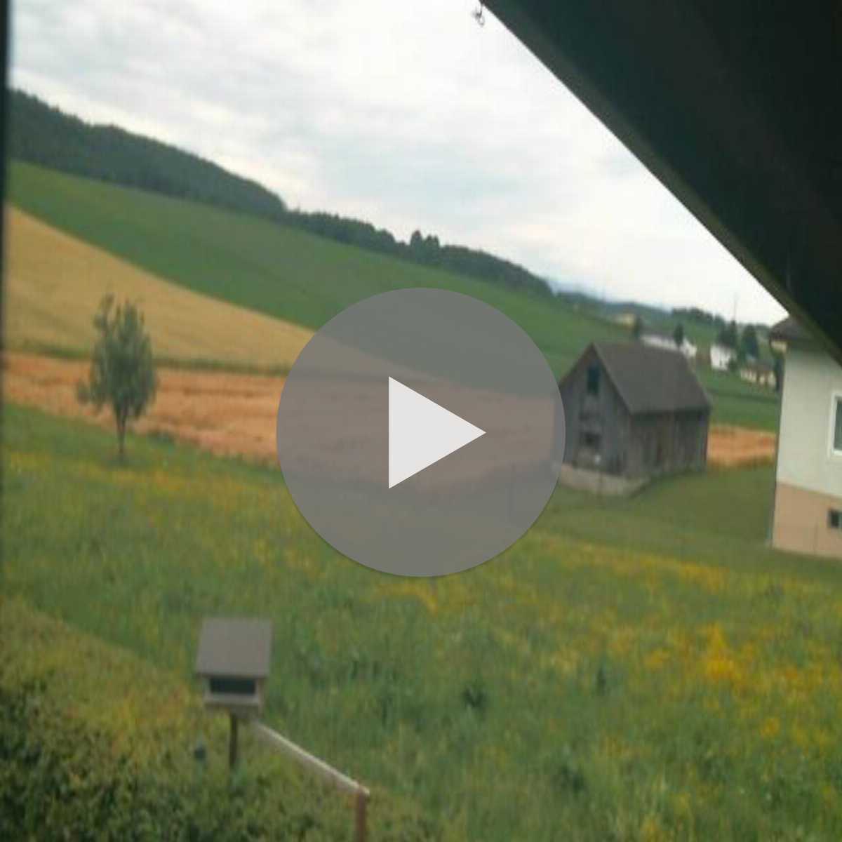Ertl webcam