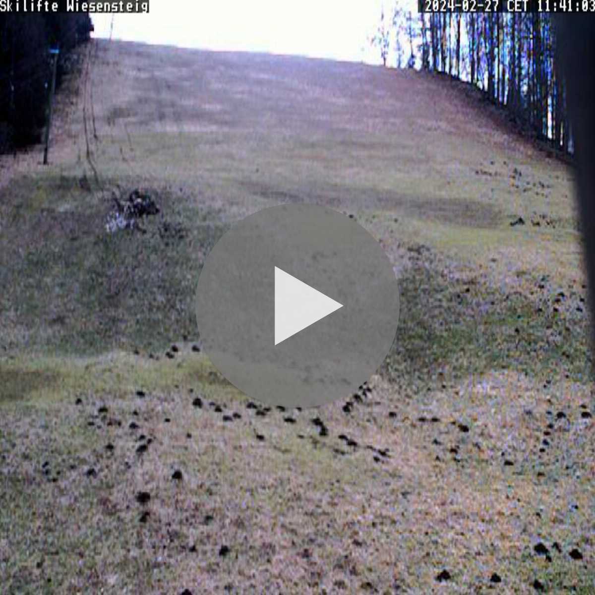 Schallstadt webcam