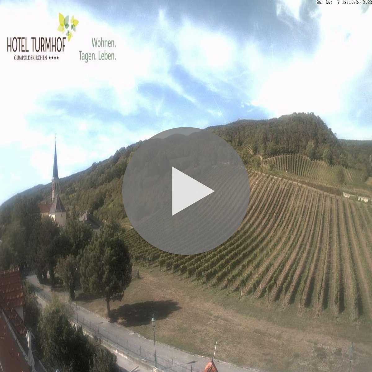 Ertl webcam