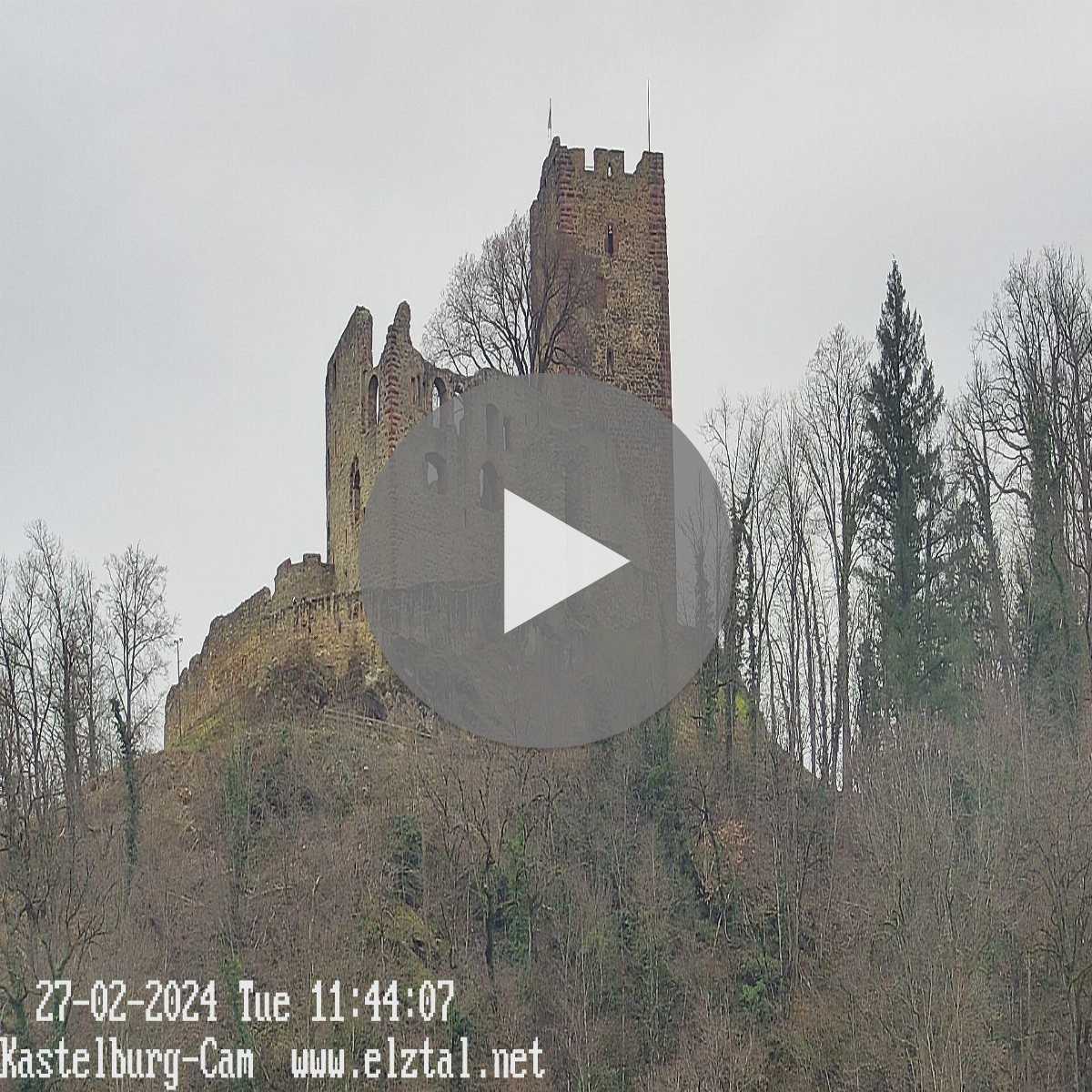 Schallstadt webcam