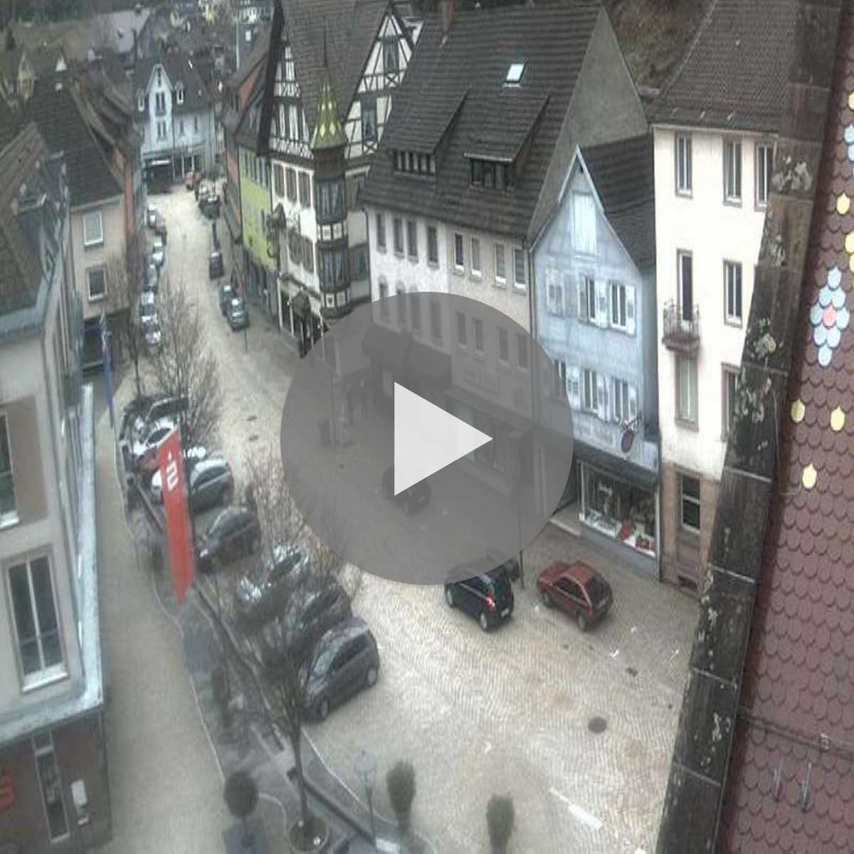 Schallstadt webcam
