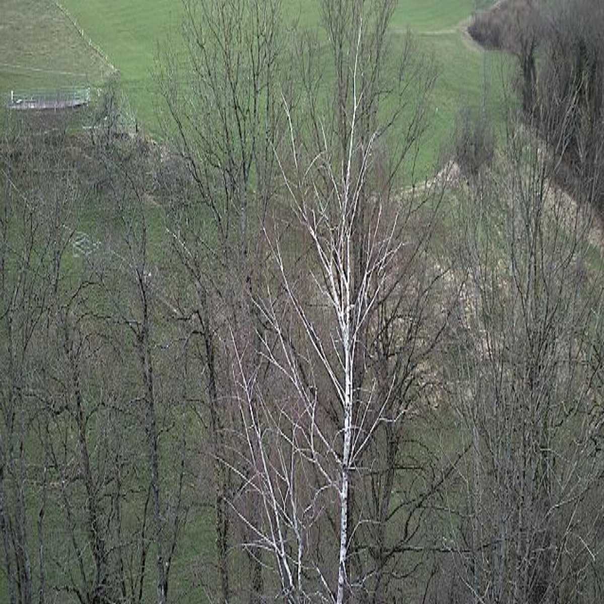 Pratteln webcam