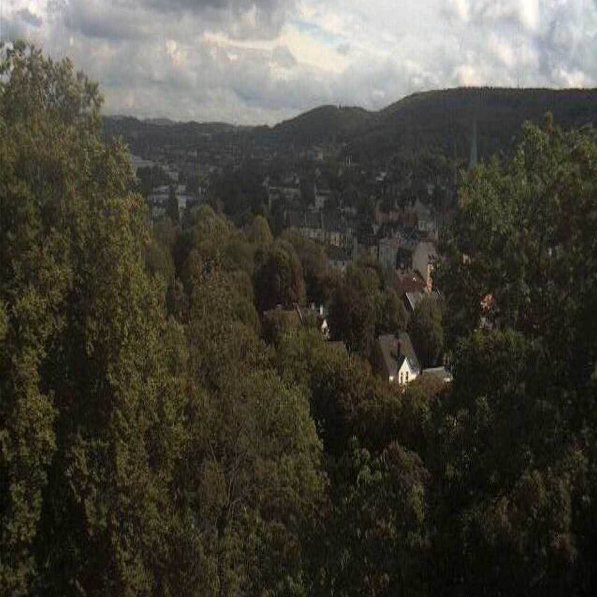 Riesenbeck webcam