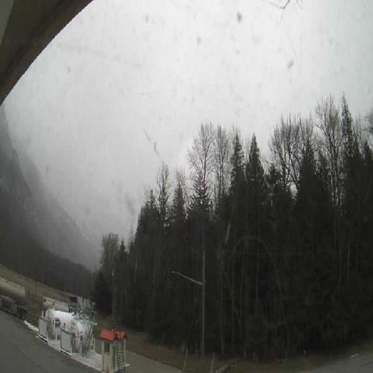 Logan Lake webcam