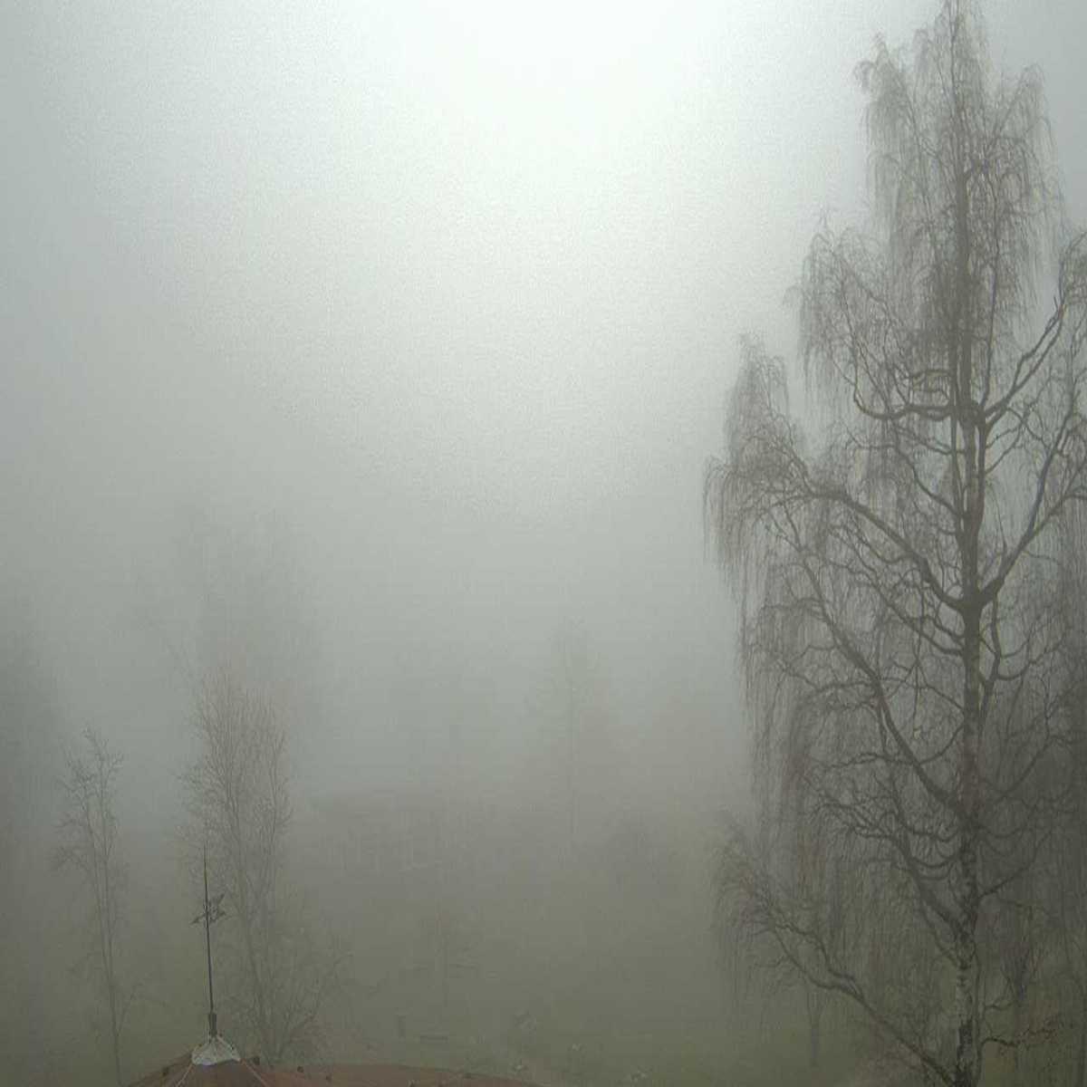 Reppenstedt webcam