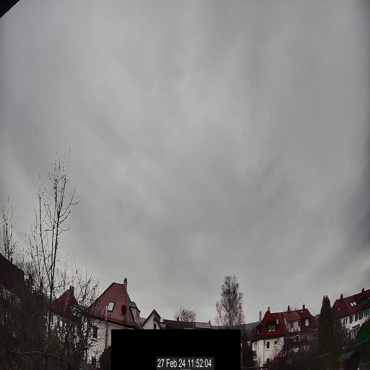 Schallstadt webcam