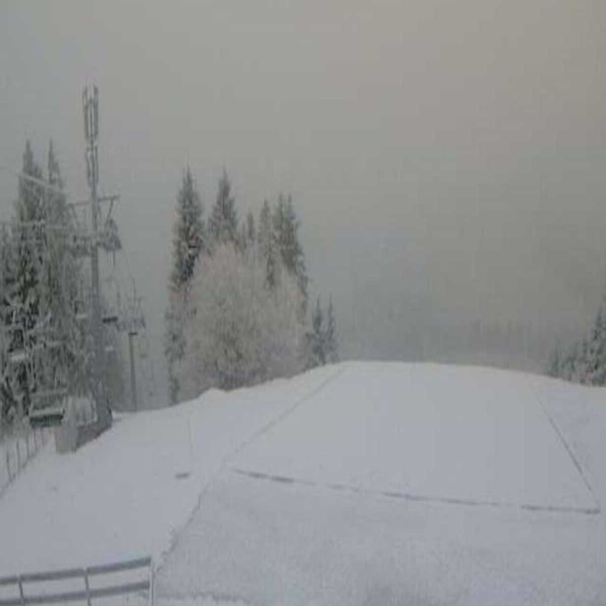 Zachenberg webcam