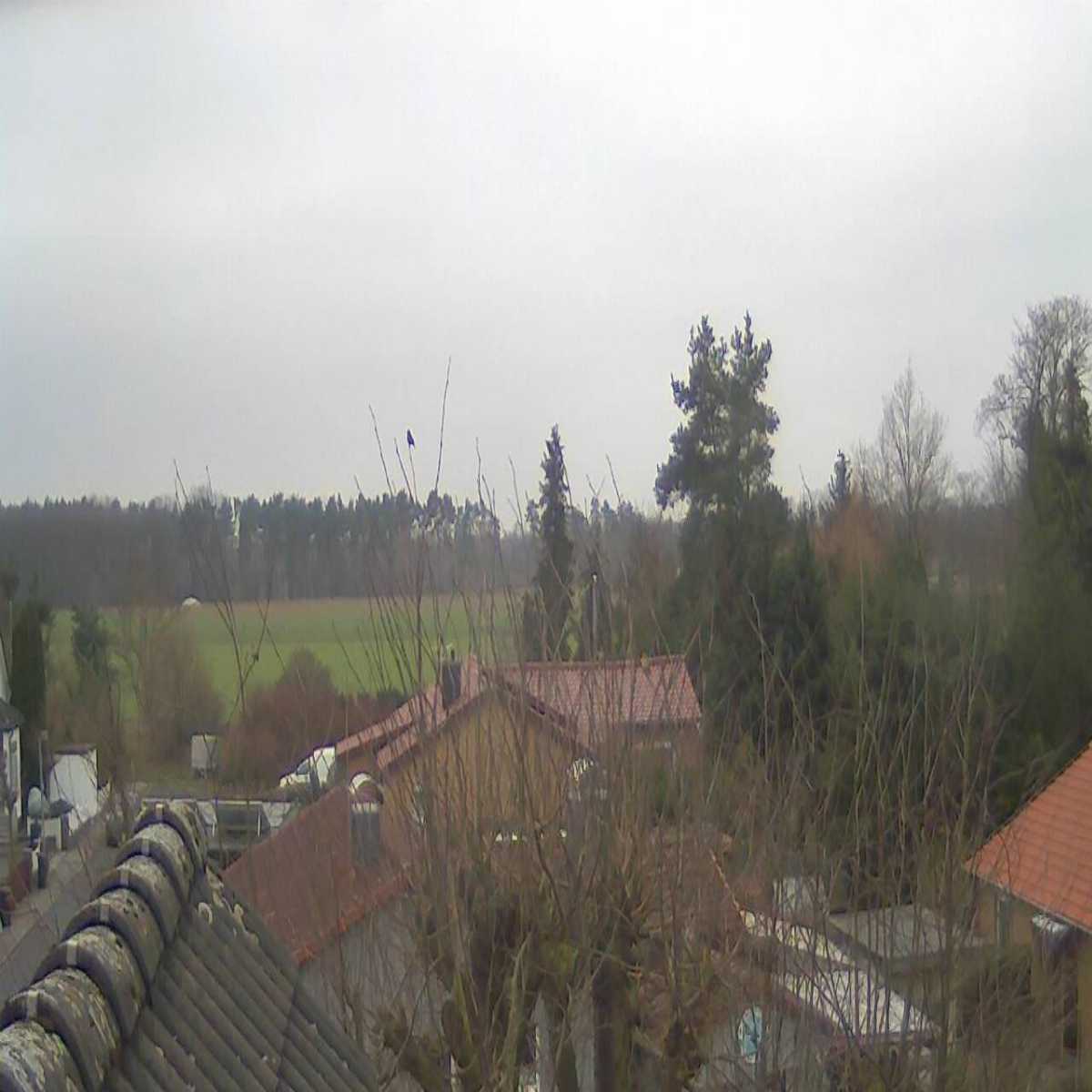 Reppenstedt webcam