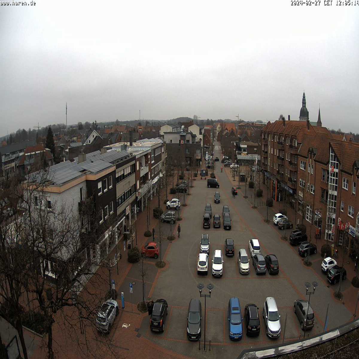 Reppenstedt webcam
