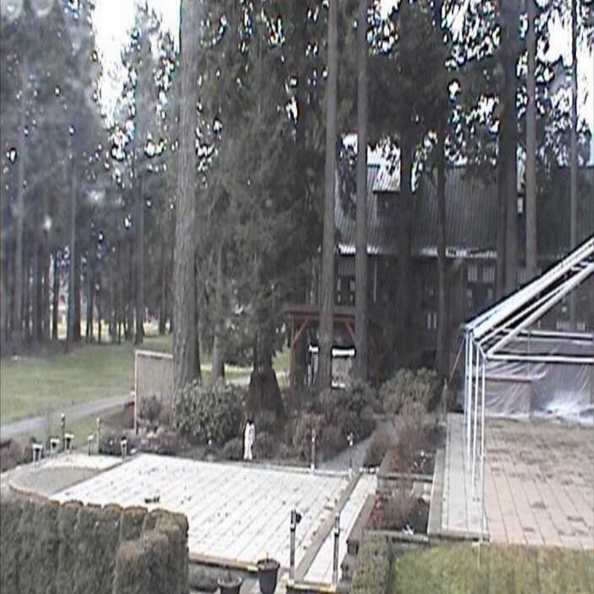 Logan Lake webcam