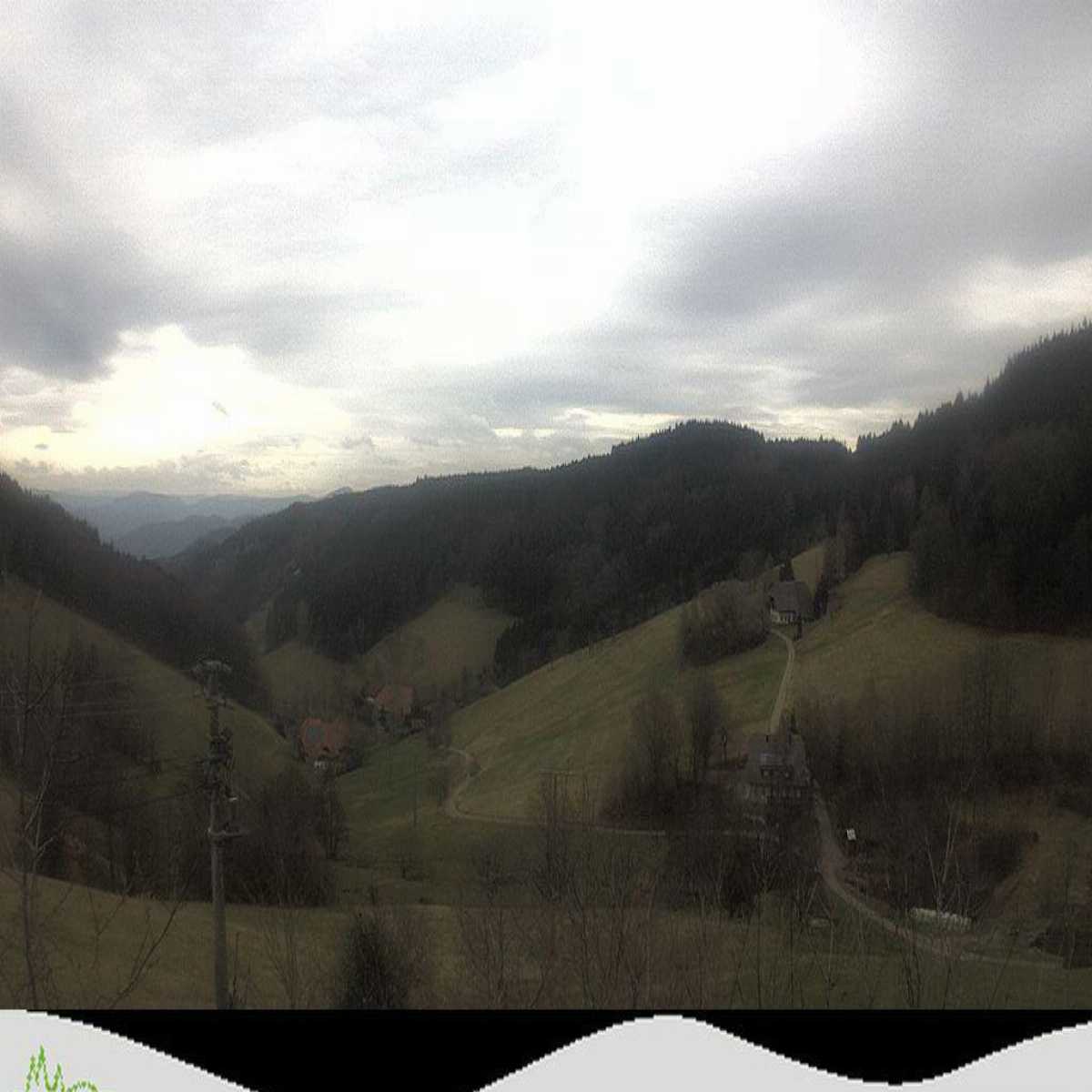 Schallstadt webcam