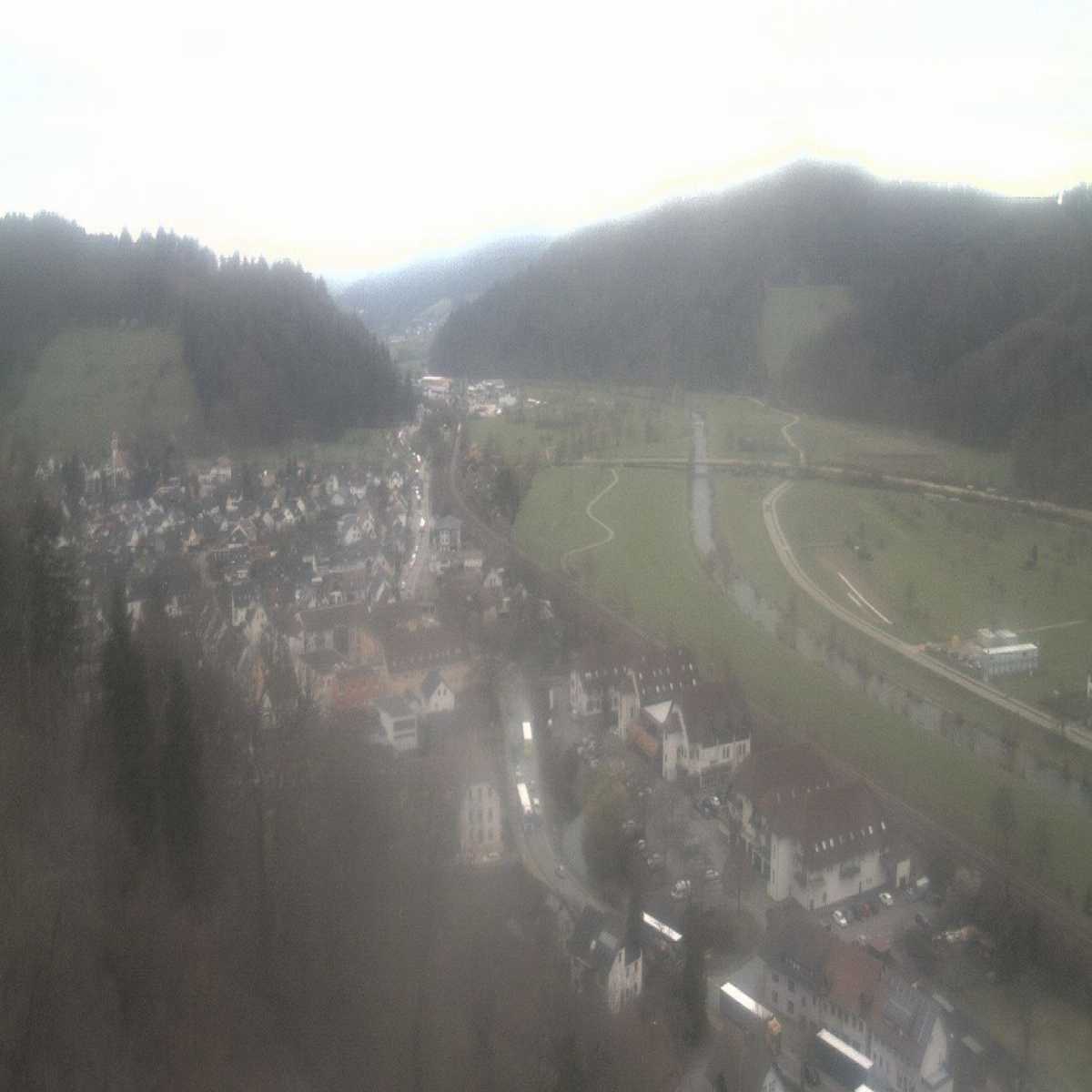 Schallstadt webcam