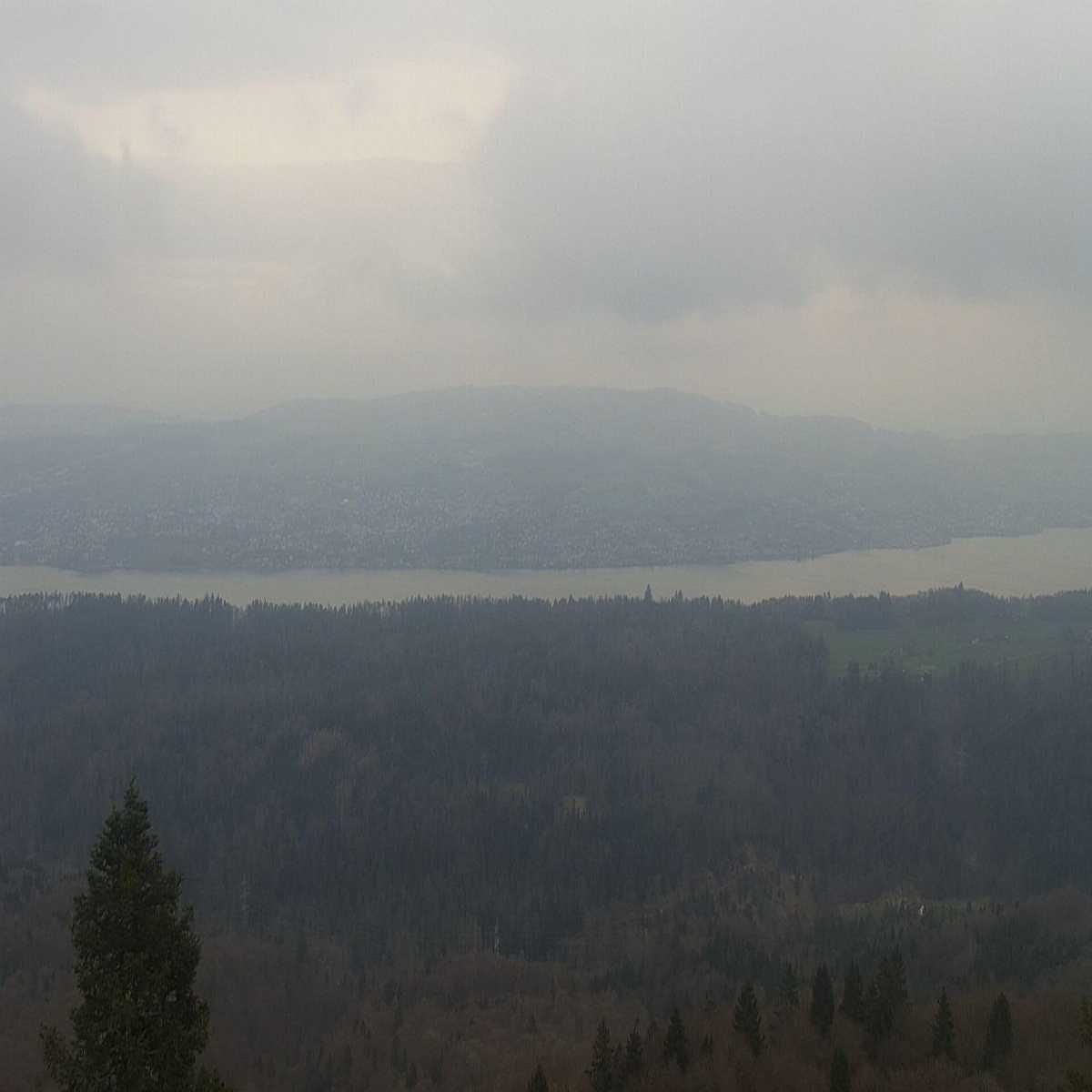Richterswil webcam