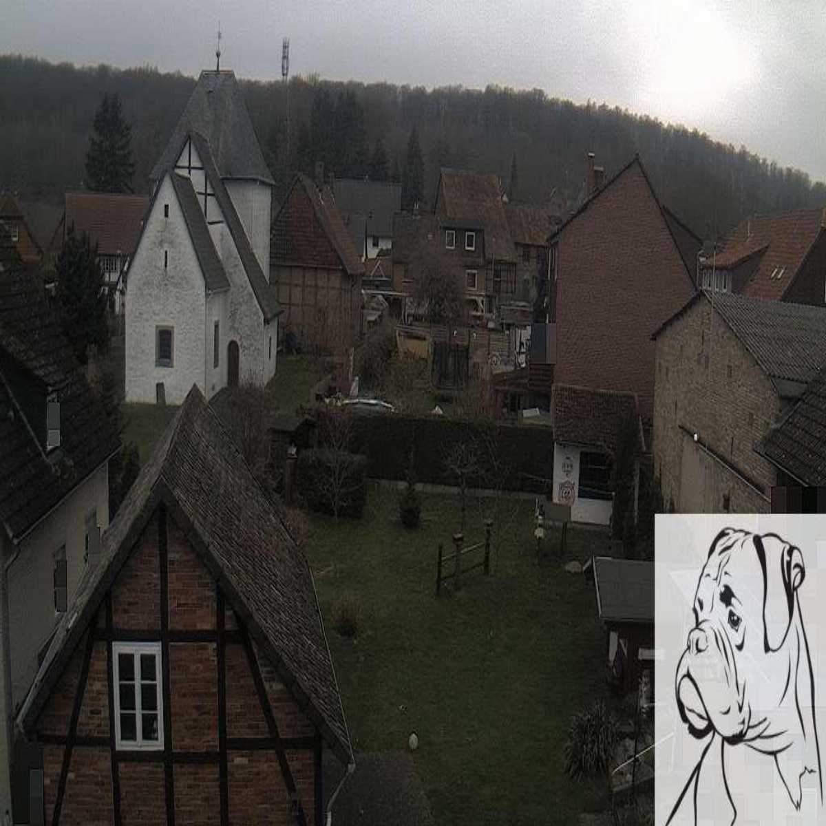 Reppenstedt webcam