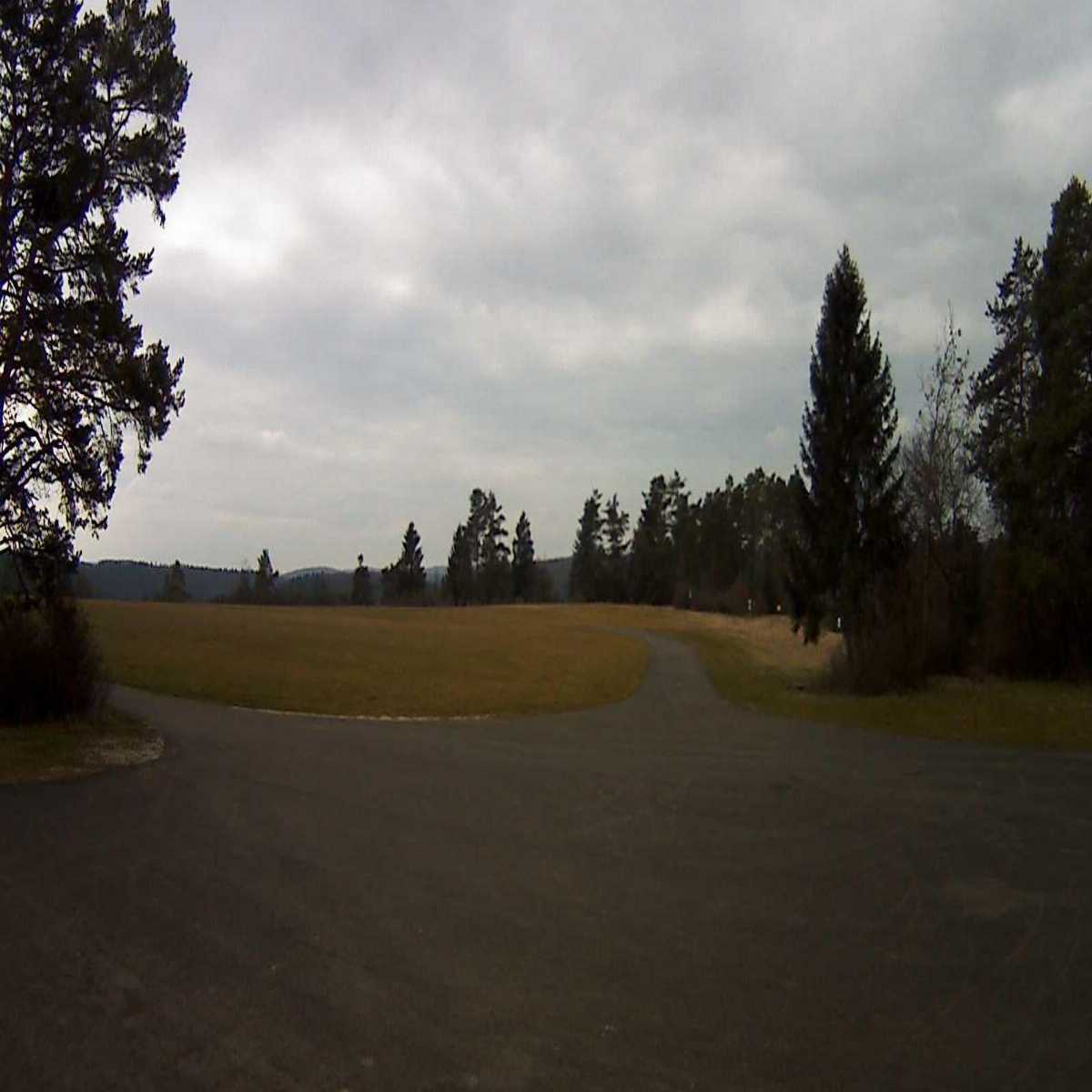 Schallstadt webcam