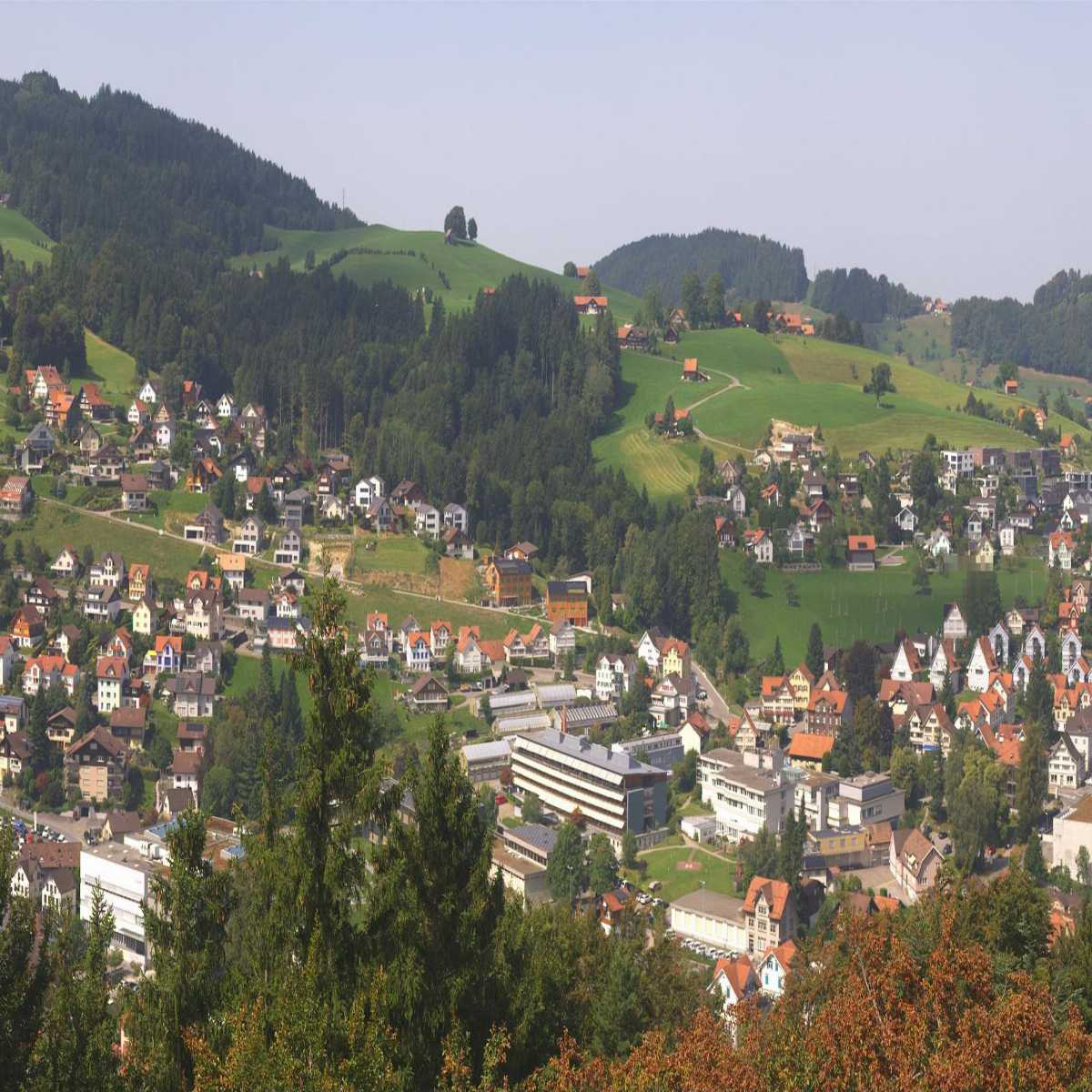 Heiden webcam