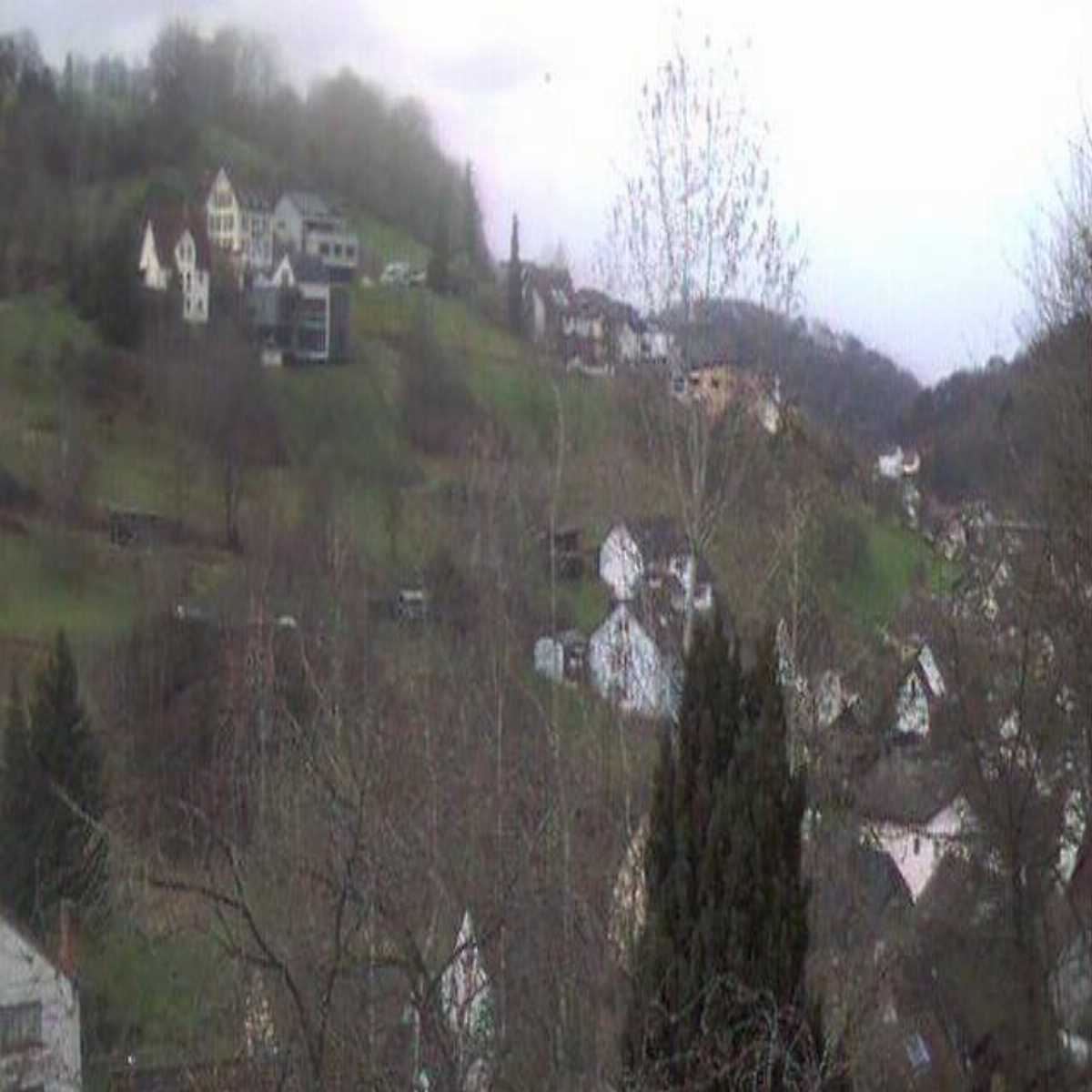 Zachenberg webcam