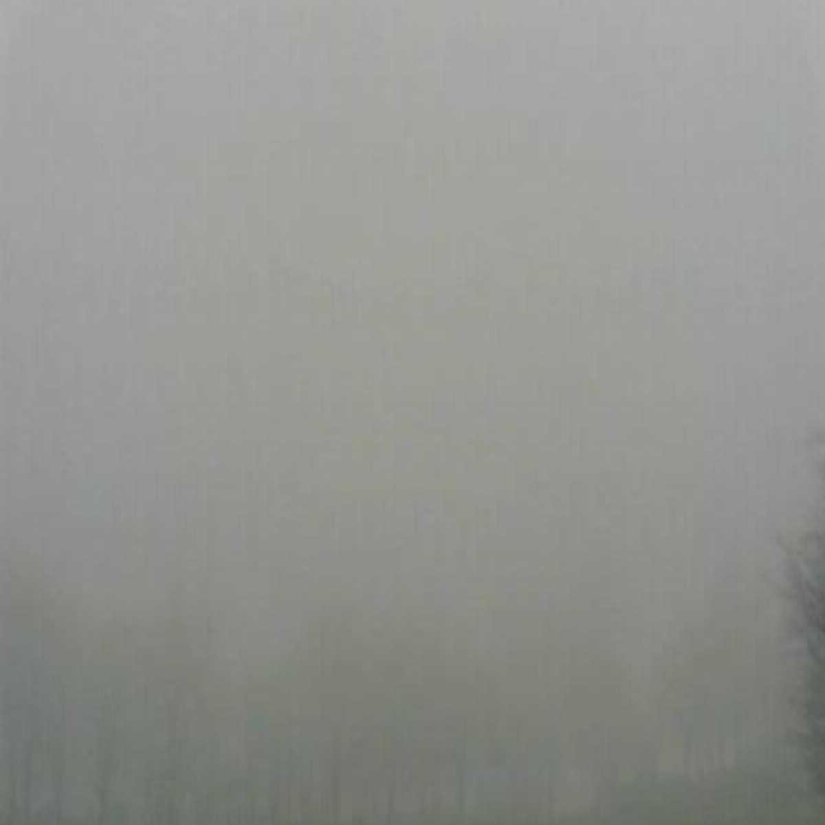 Riesenbeck webcam