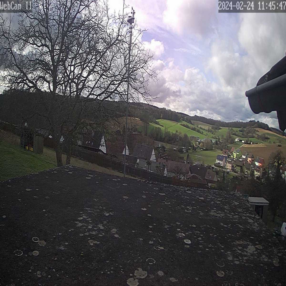 Schallstadt webcam