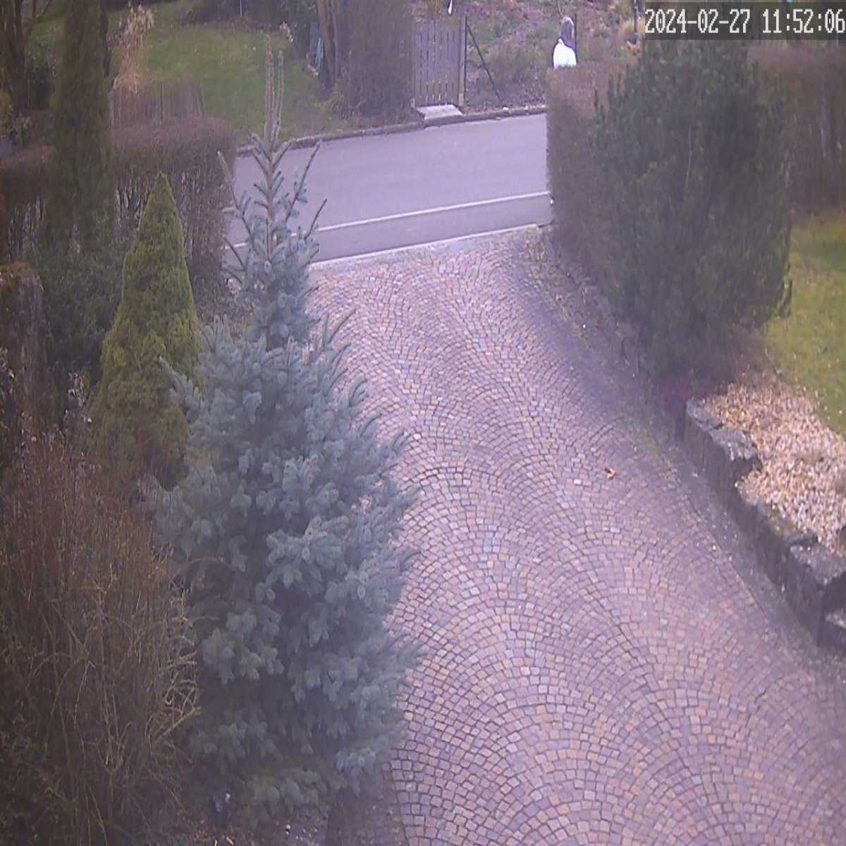 Zachenberg webcam