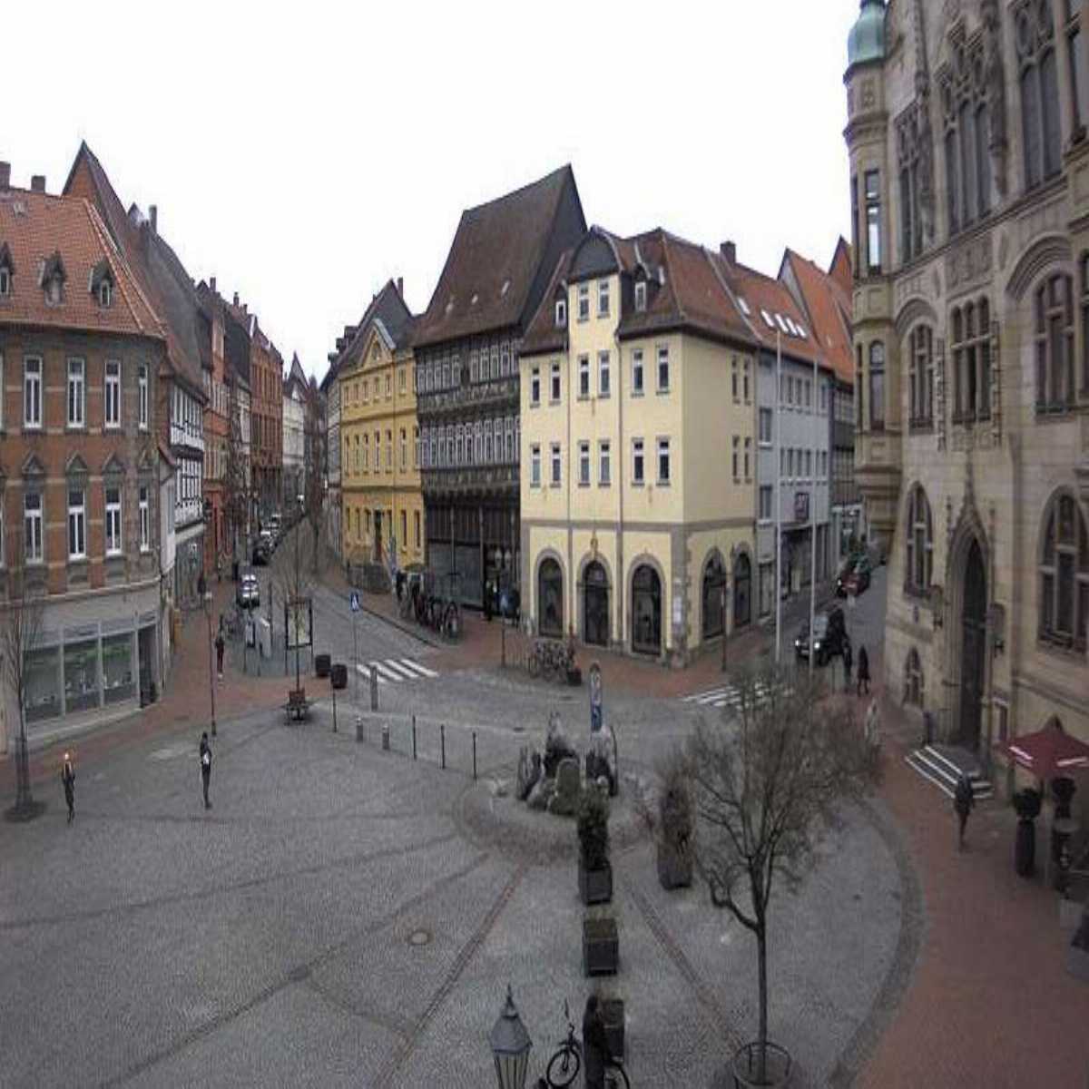 Reppenstedt webcam