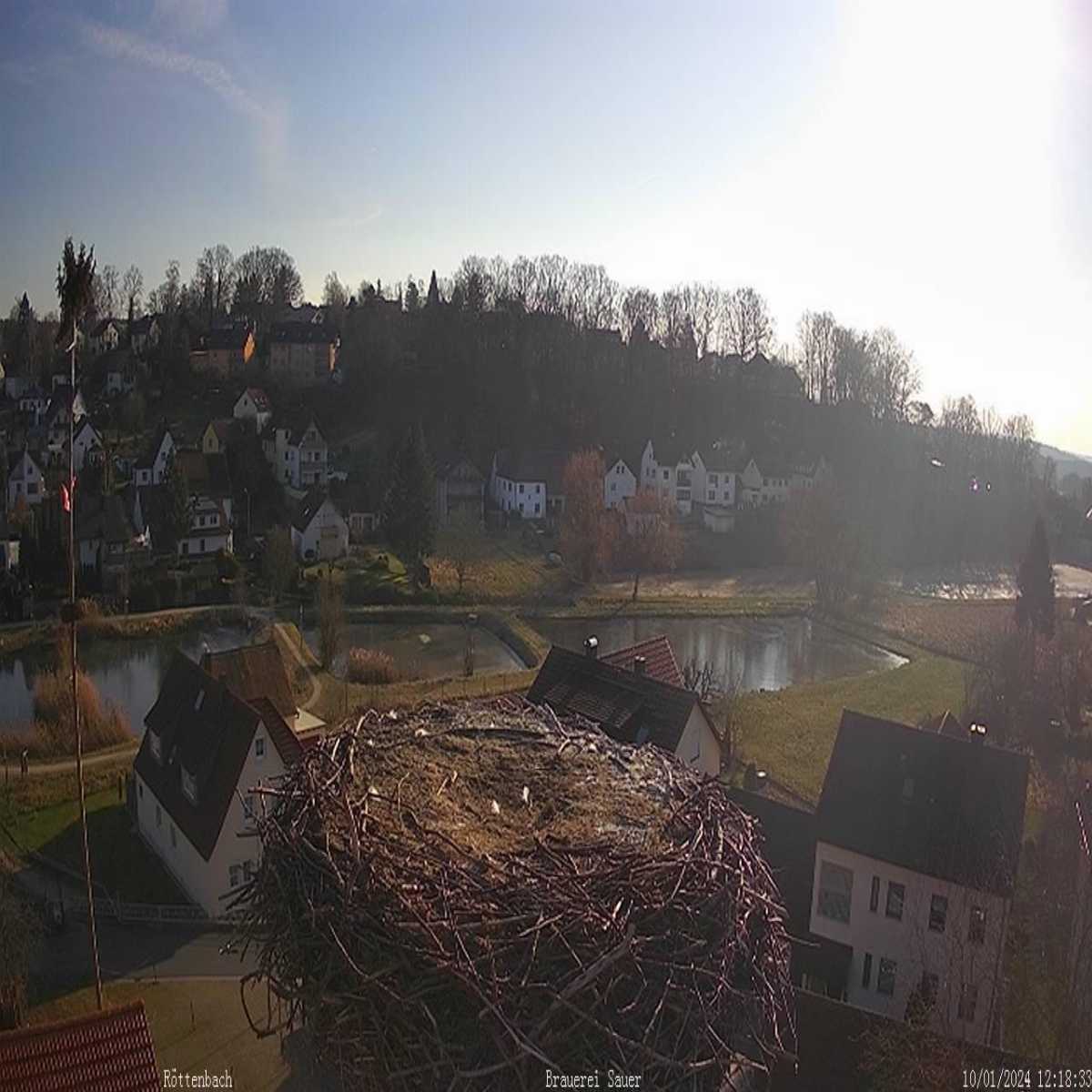 Zachenberg webcam
