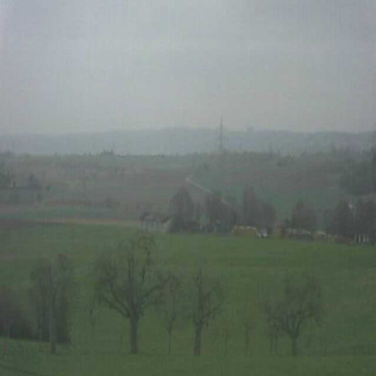 Schallstadt webcam