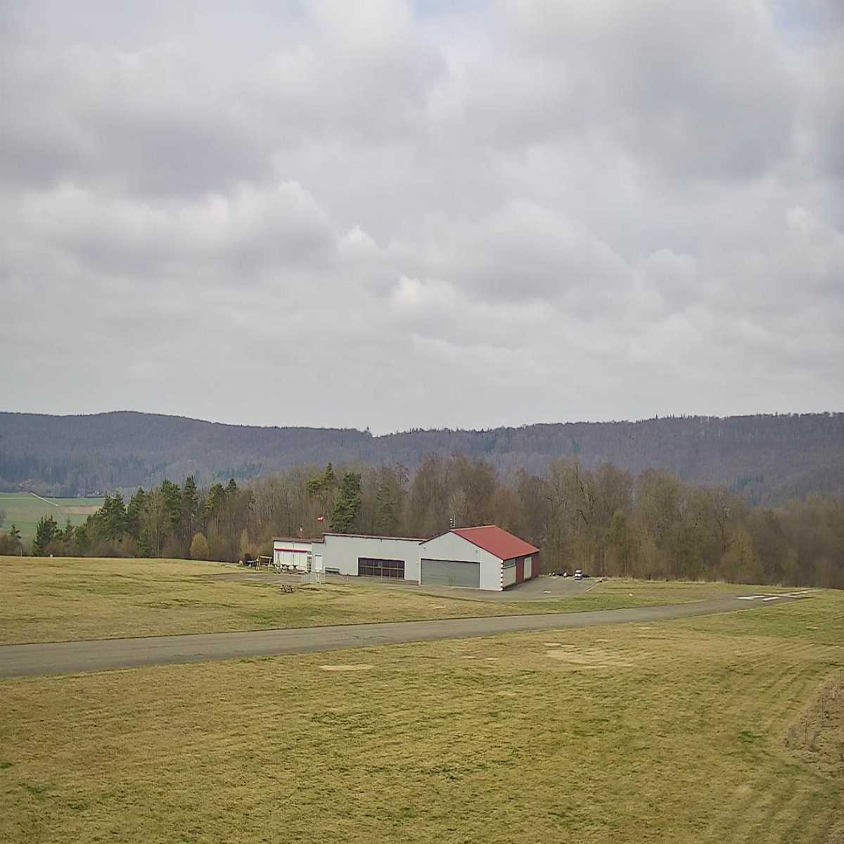 Schallstadt webcam