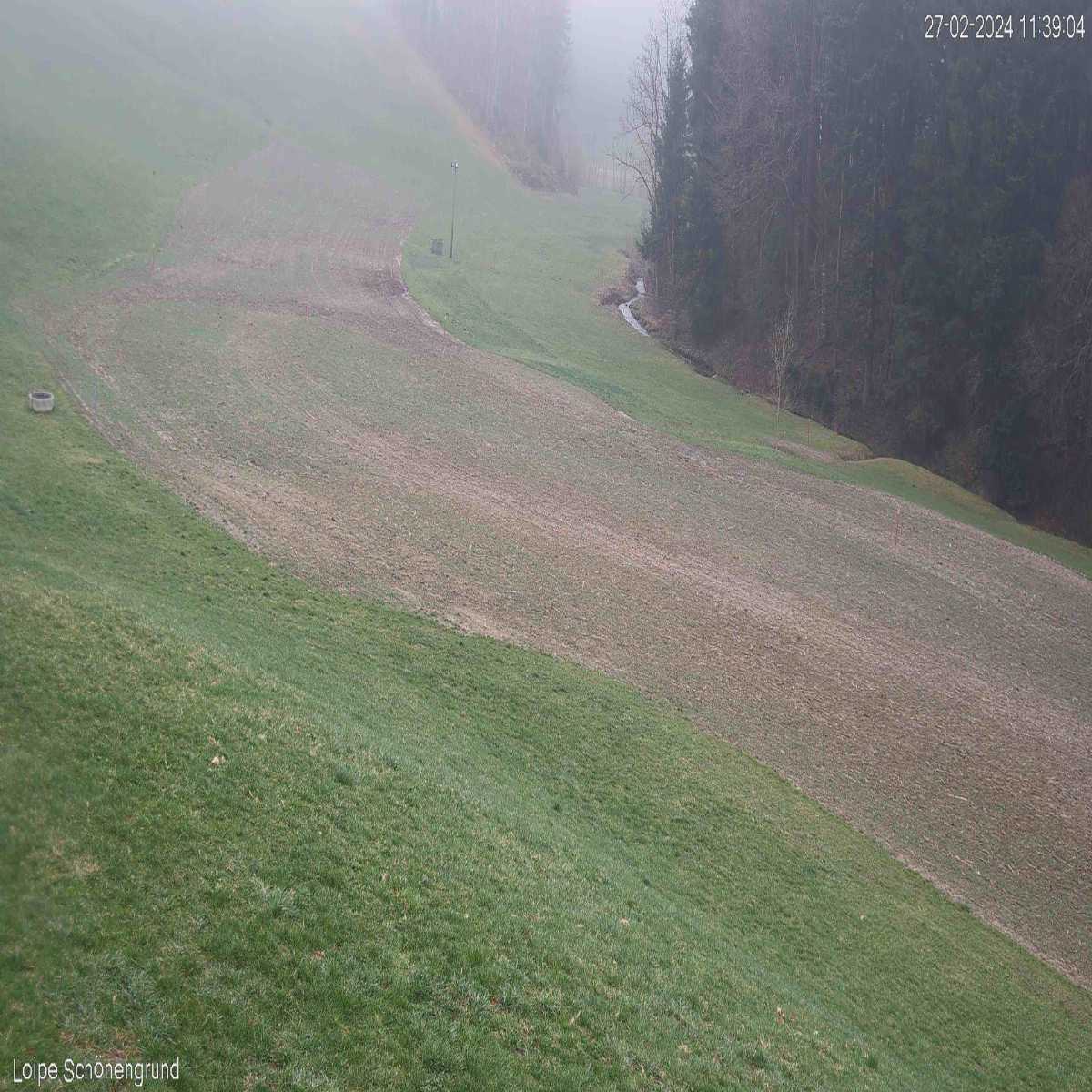 Heiden webcam