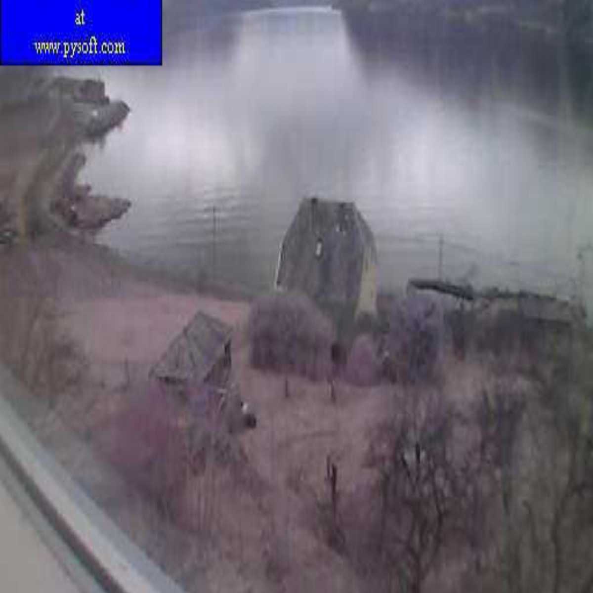 Floro webcam