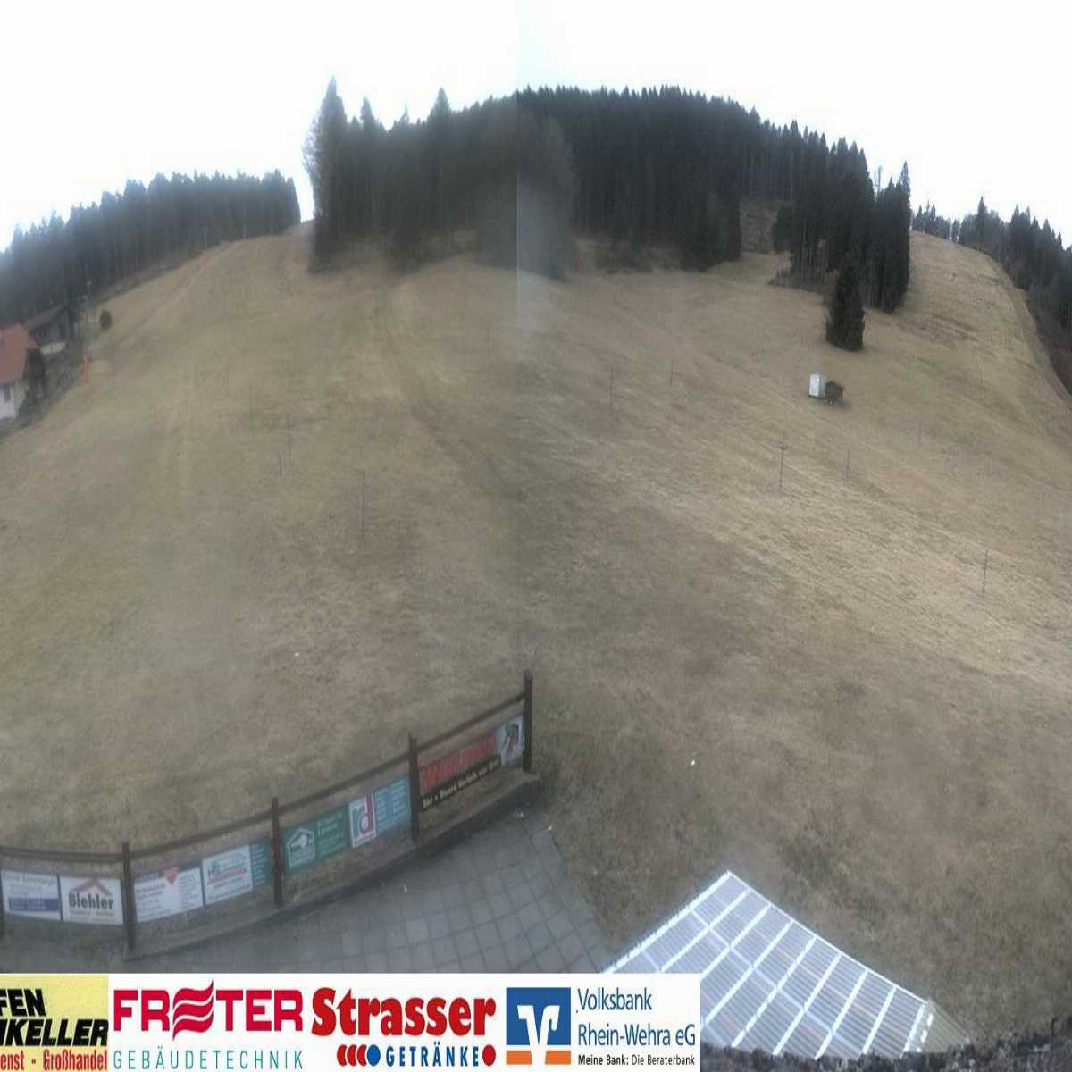 Schallstadt webcam