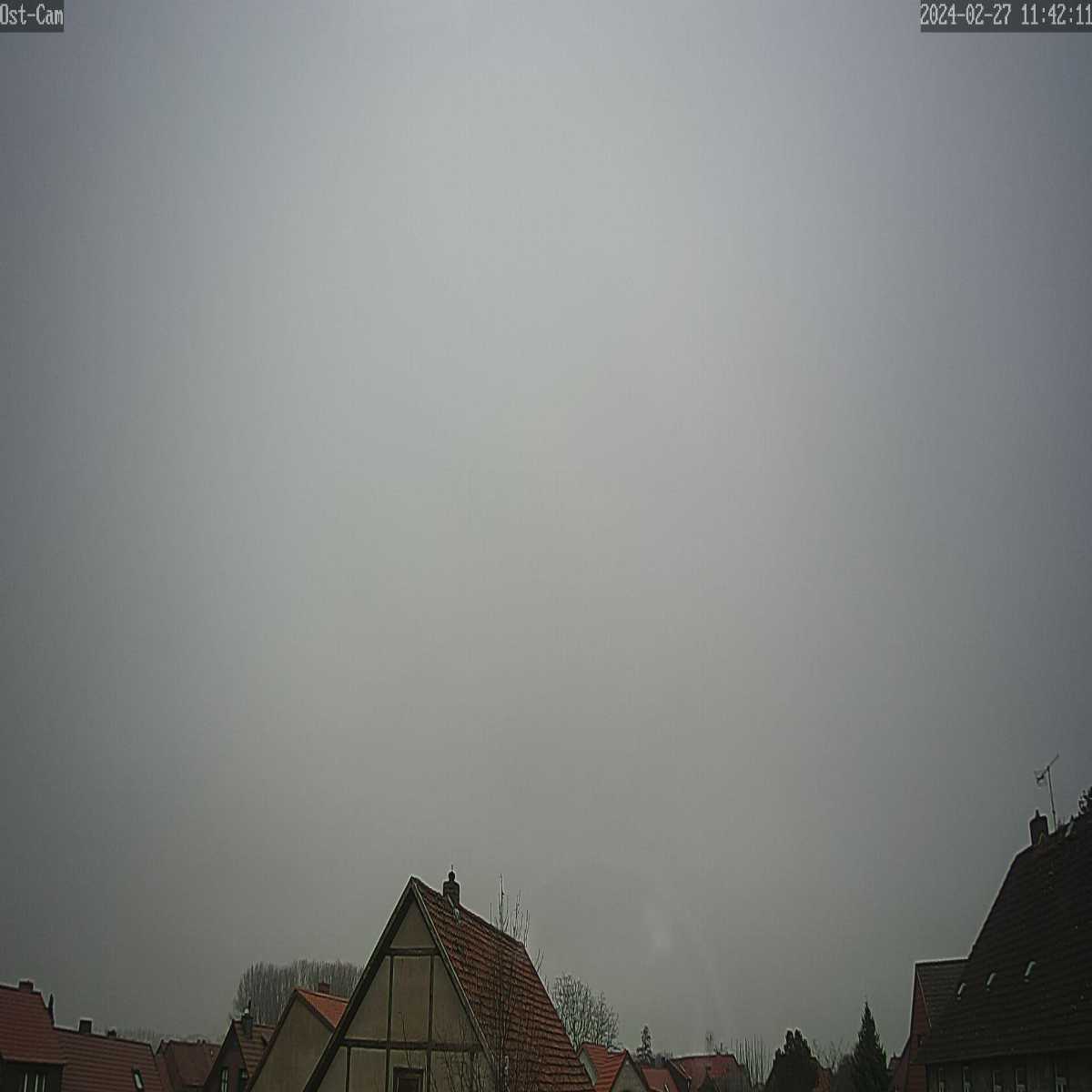 Veckenstedt webcam