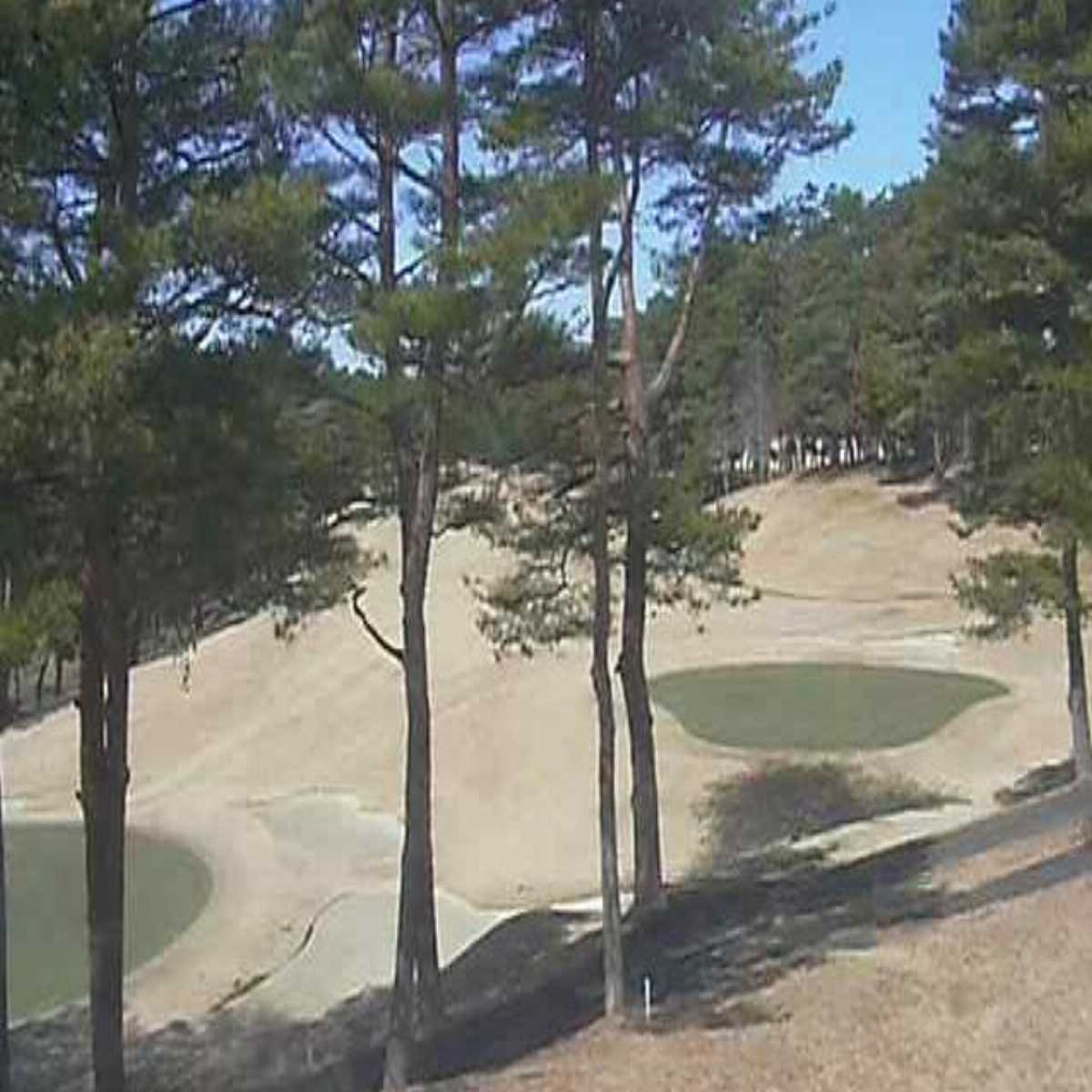 Hasuda webcam