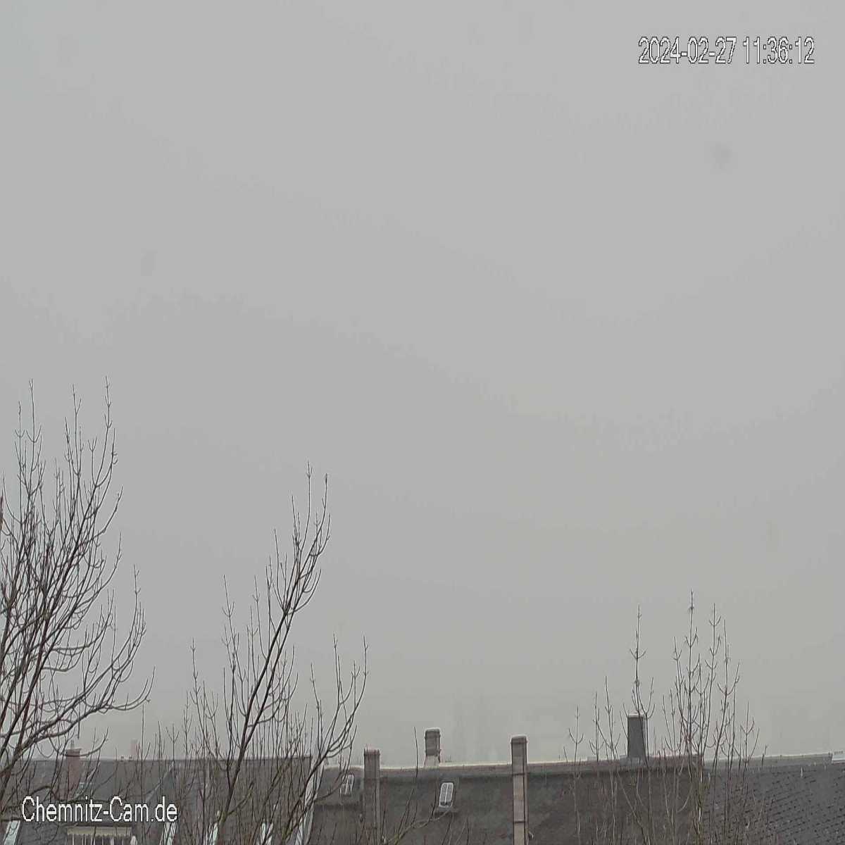 Klingenberg webcam