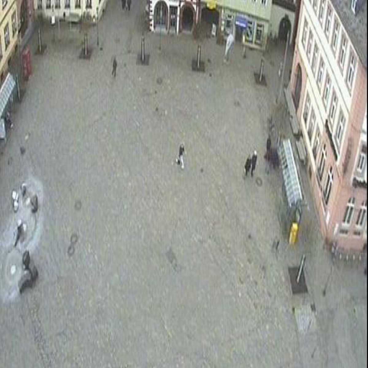 Zachenberg webcam