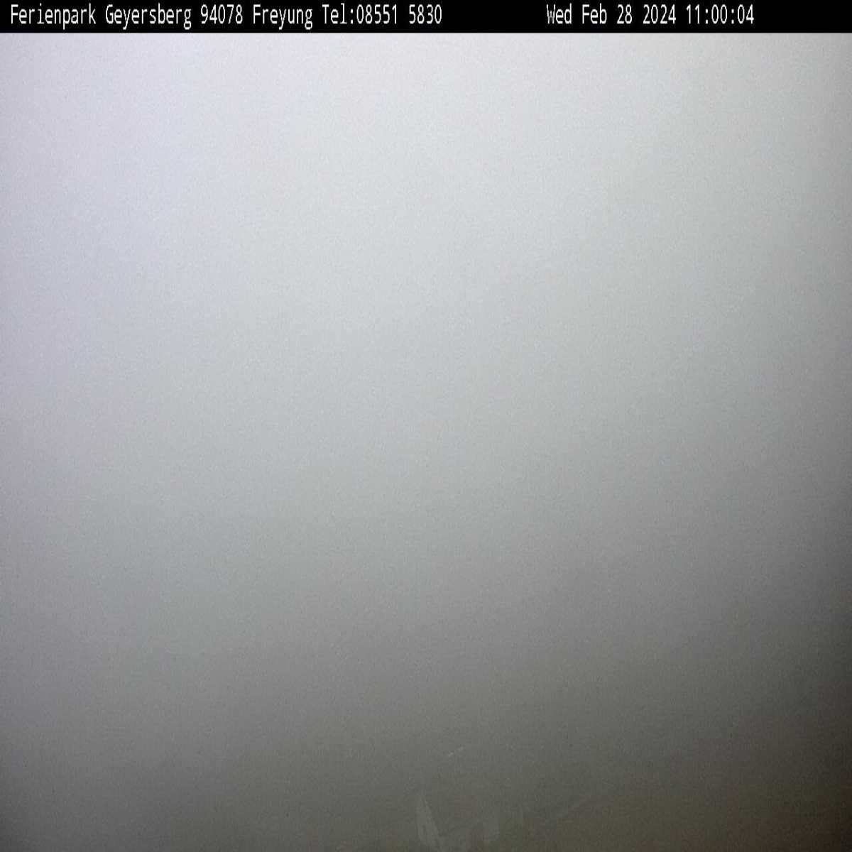 Zachenberg webcam
