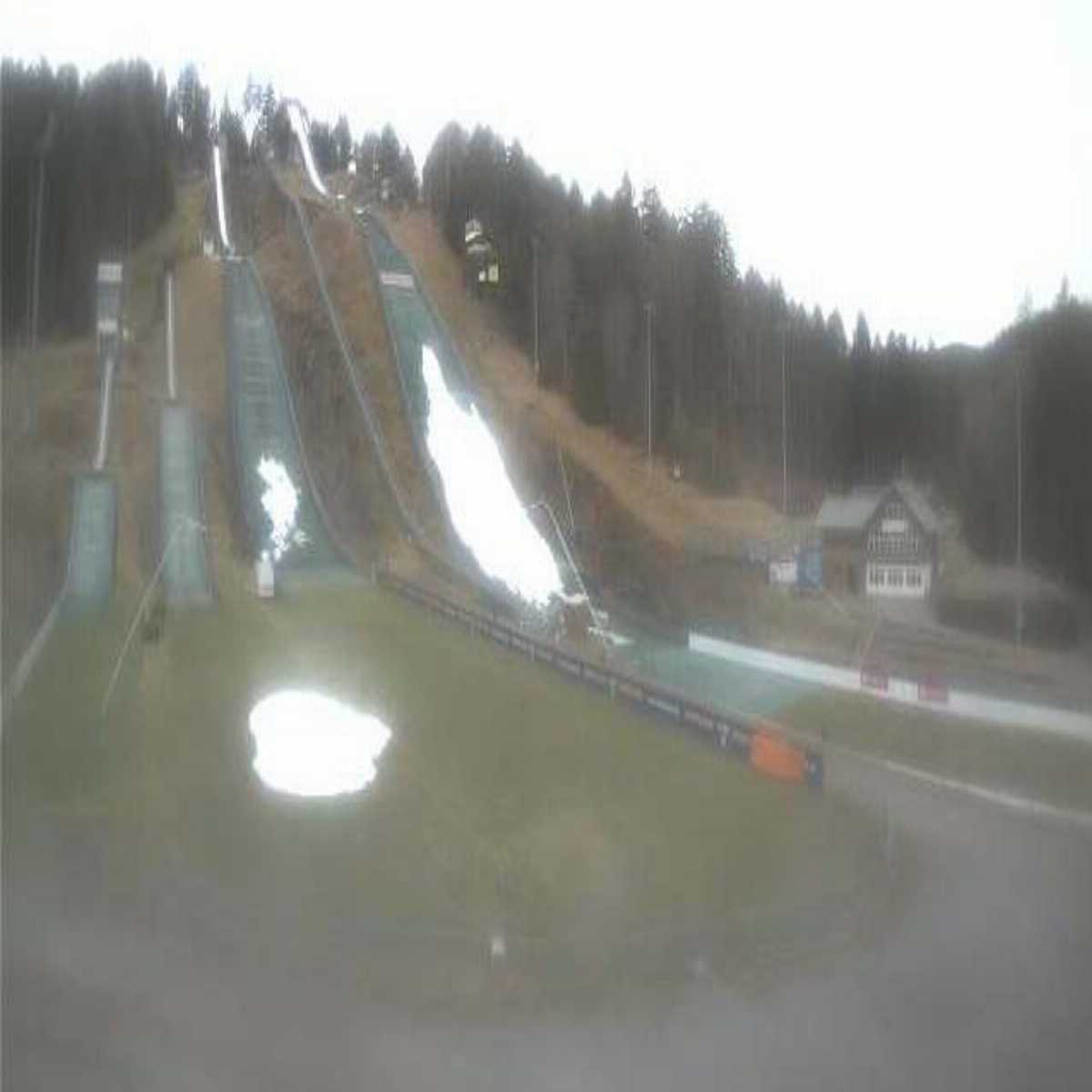 Schallstadt webcam